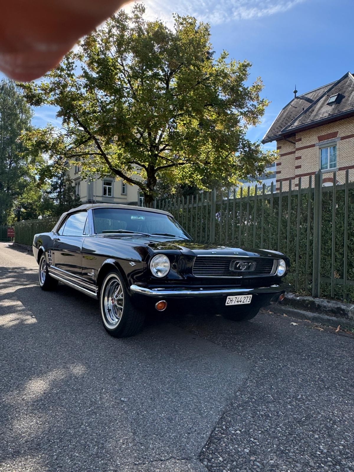 FORD MUSTANG Cabrio V8-image-8