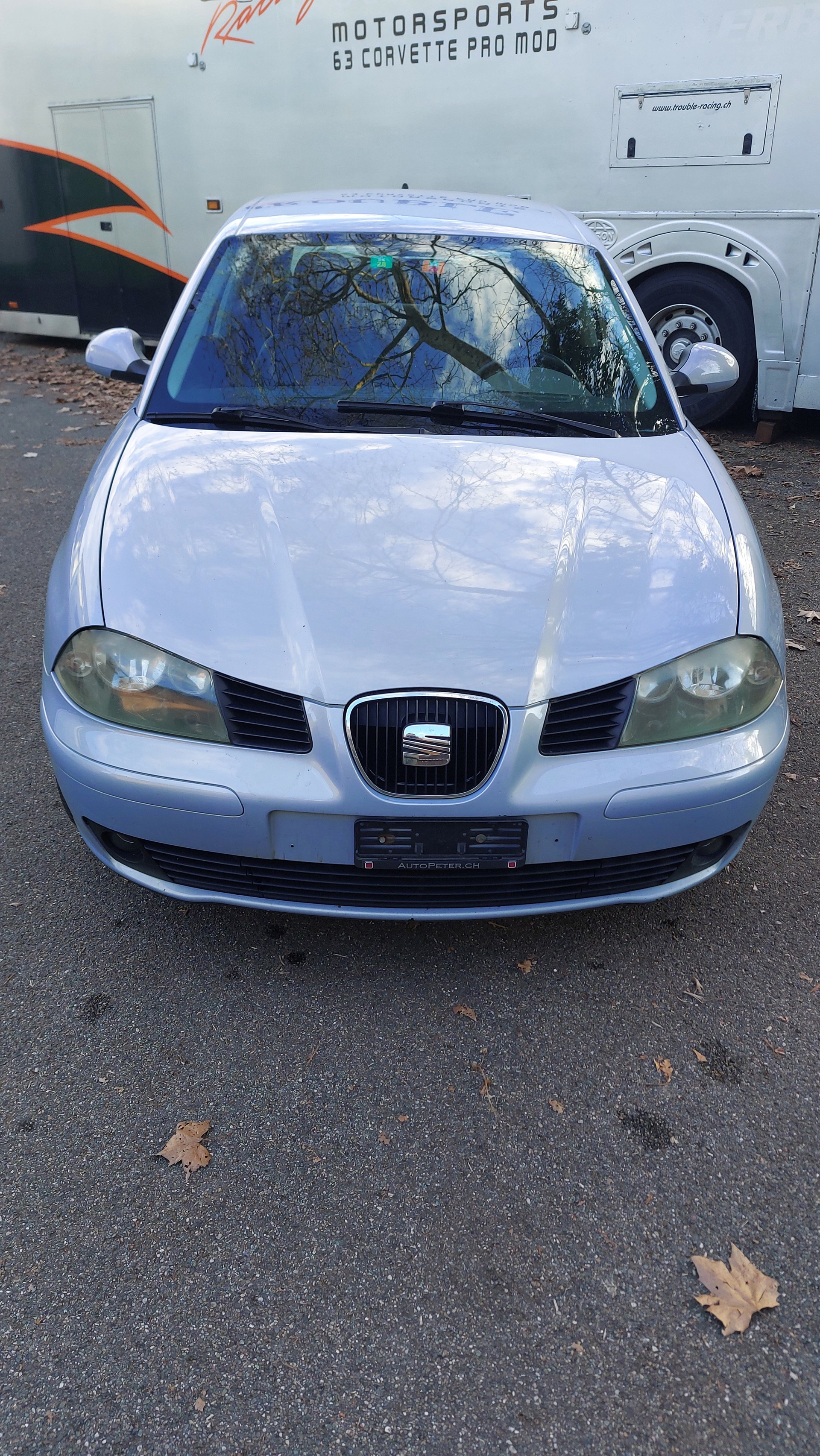 SEAT Ibiza 1.4 16V Signo