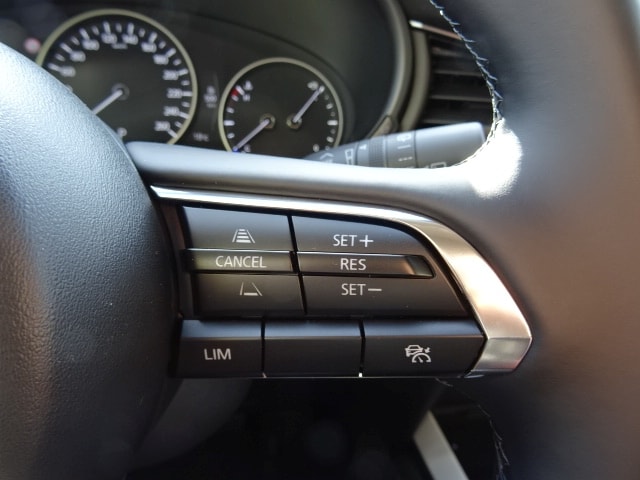 MAZDA CX-30 2.0 186 Nagisa Automat-image-9