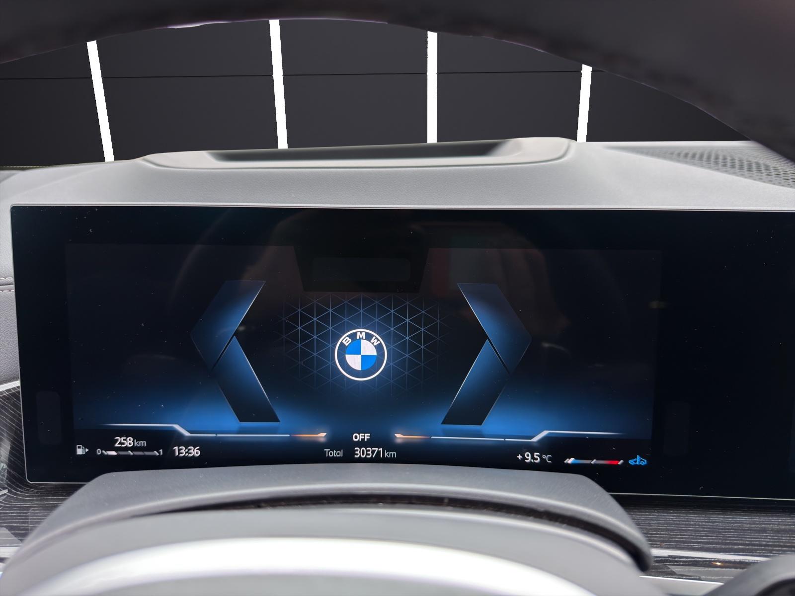 BMW X5 30d xDrive SAG-image-10