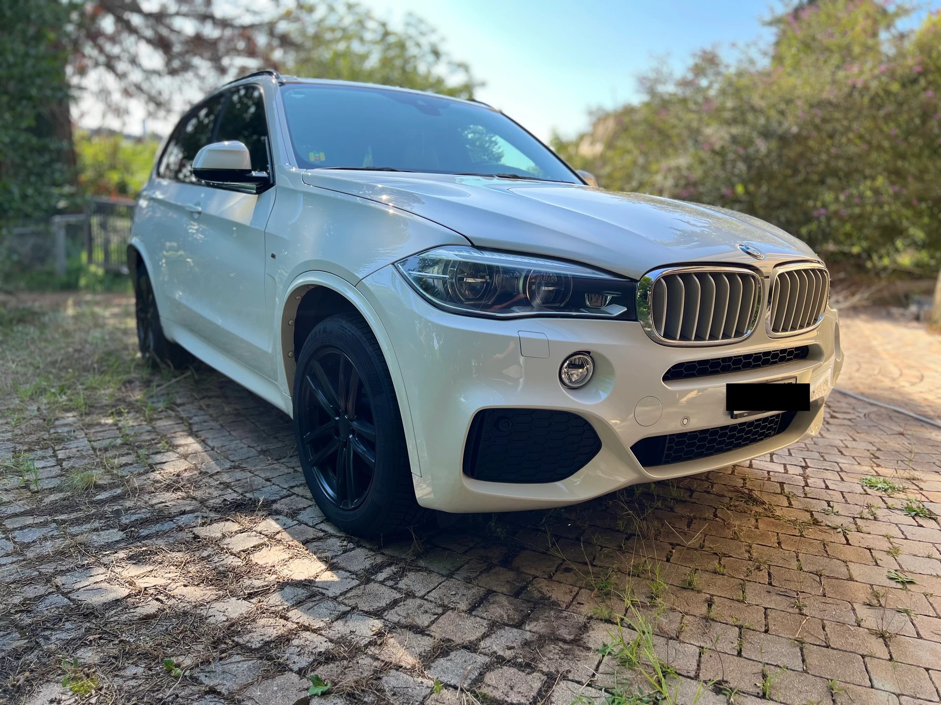 BMW 40d M-Paket Vollausstattung-image-1