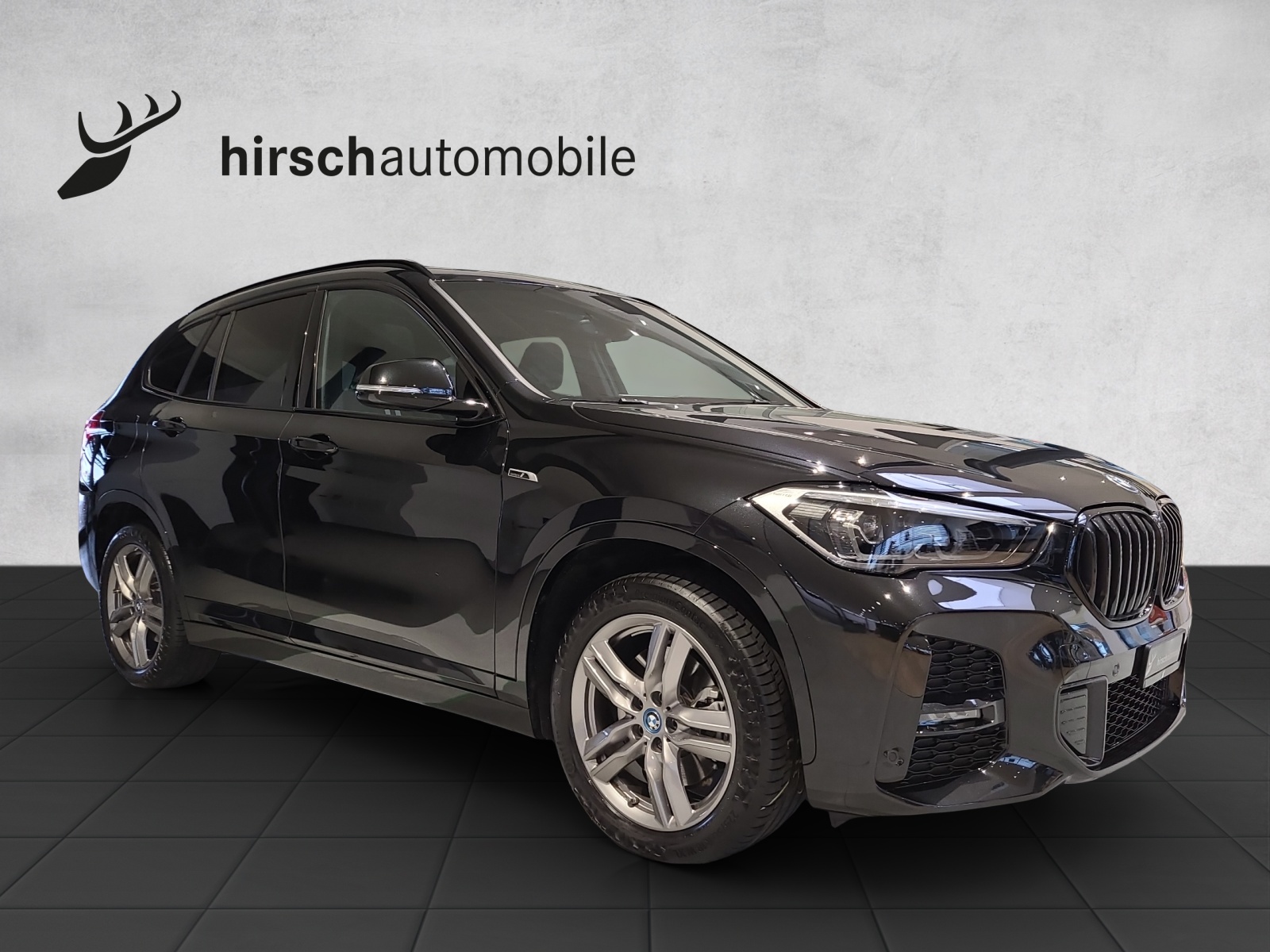 BMW X1 F48 25e xDrive-image-9