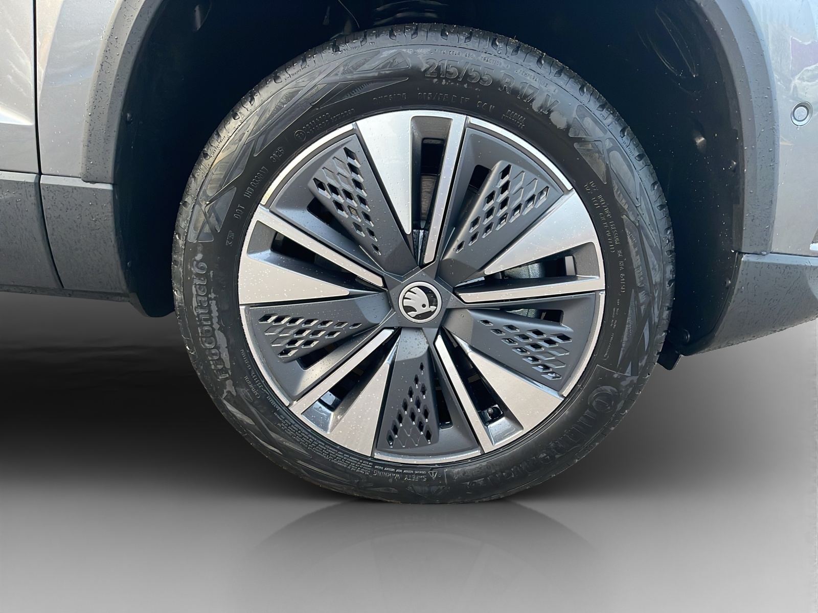 SKODA Karoq 1.5 TSI Dynamic DSG-image-13