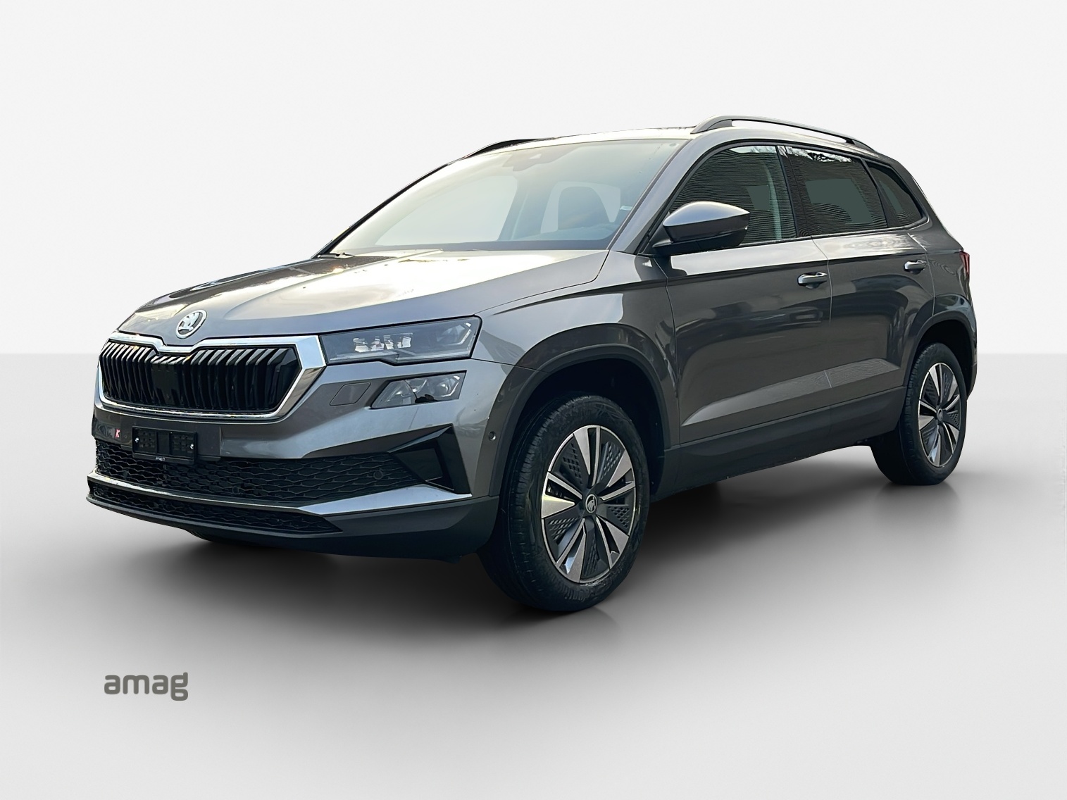 SKODA Karoq 1.5 TSI Dynamic DSG