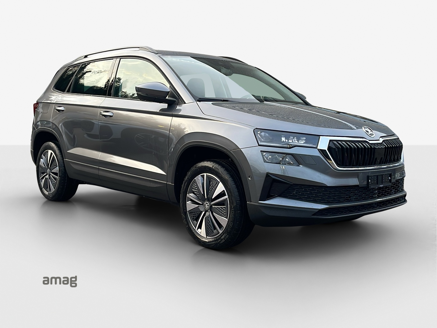 SKODA Karoq 1.5 TSI Dynamic DSG-image-5