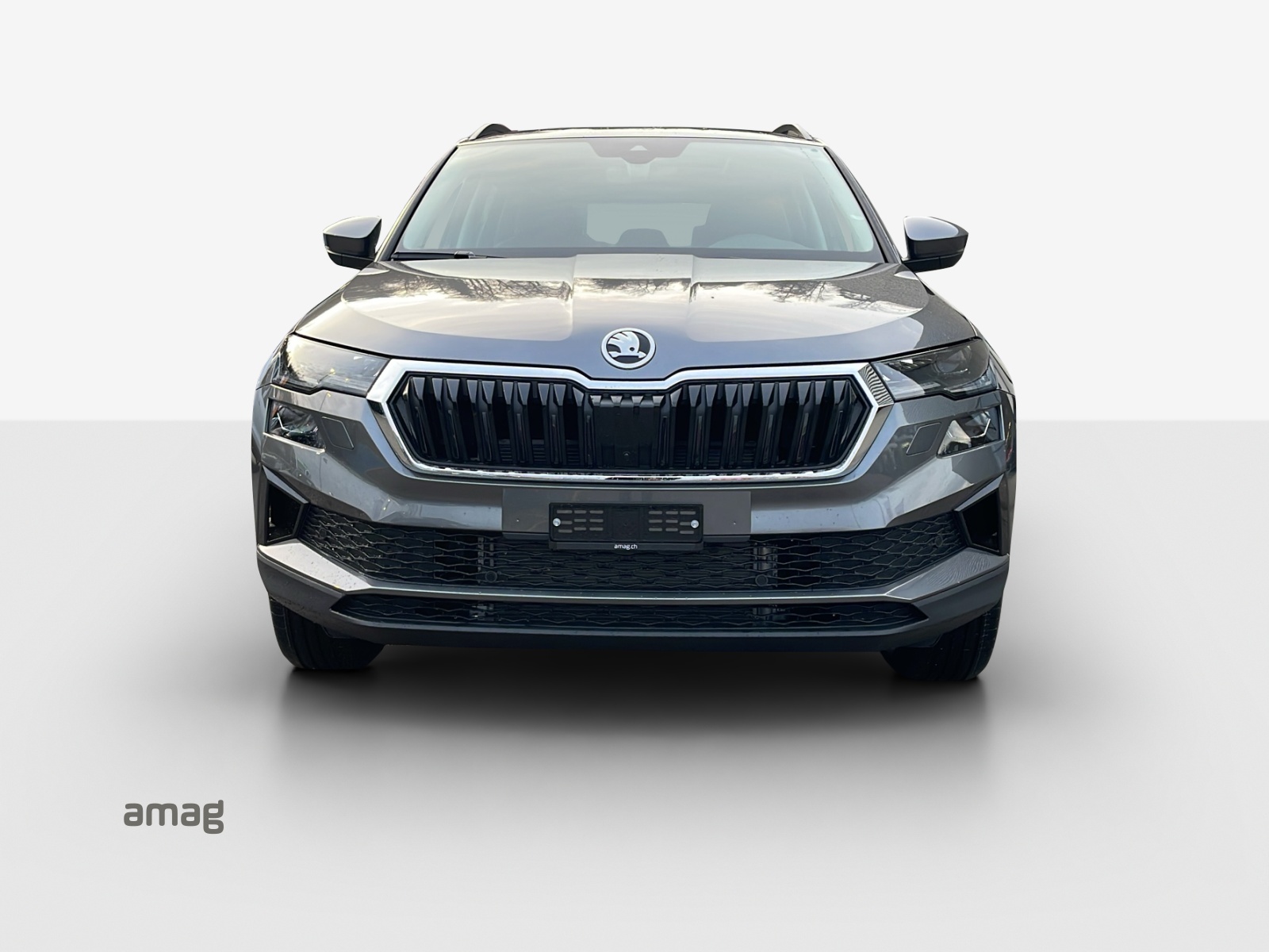 SKODA Karoq 1.5 TSI Dynamic DSG-image-6