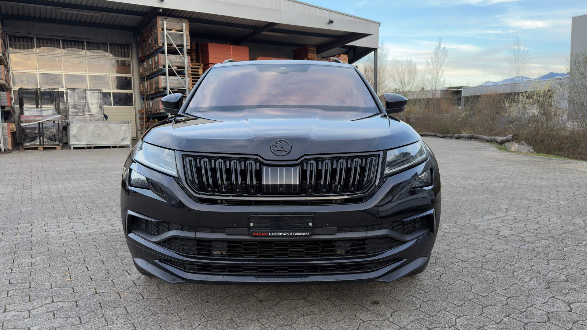 SKODA Kodiaq 2.0 Bi-TDI SCR RS 4x4 DSG-image-7
