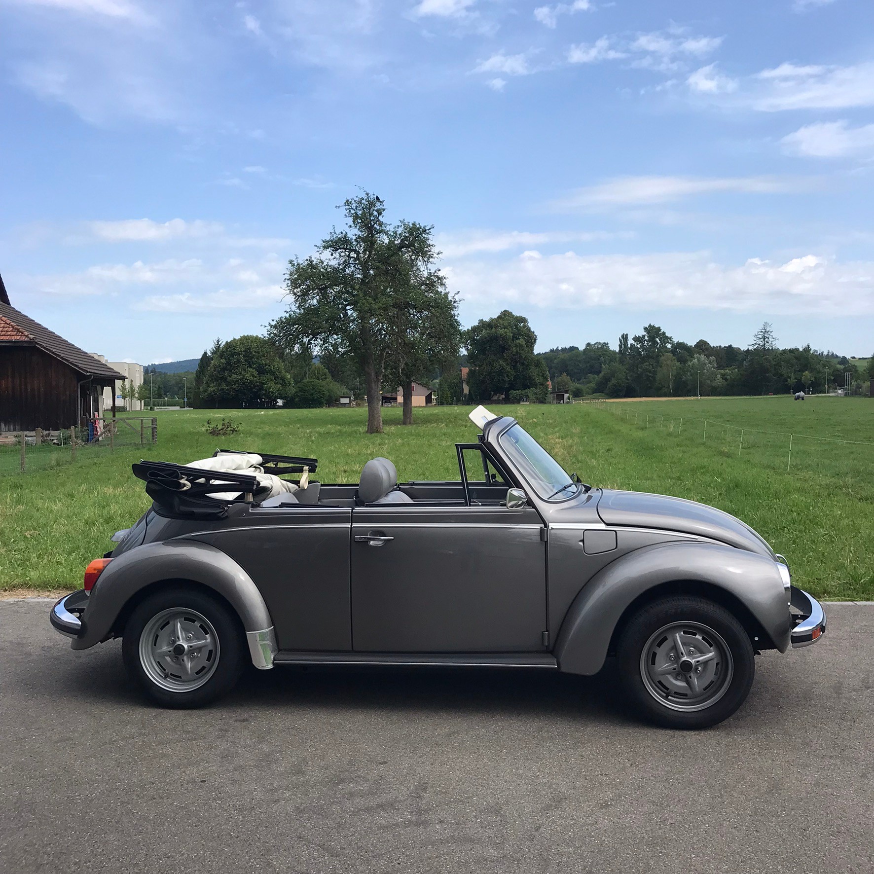 VW 1303-S-image-2