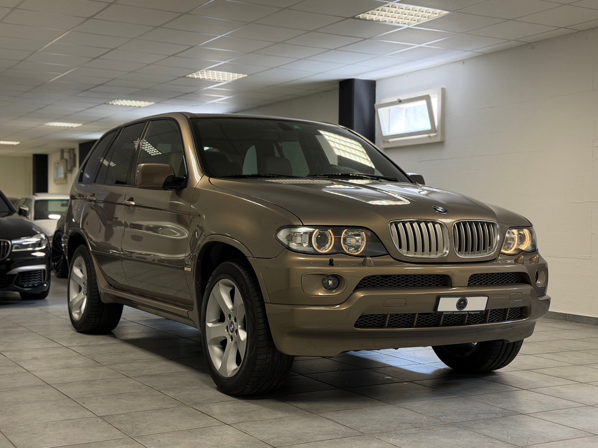 BMW X5 4.4i-image-7