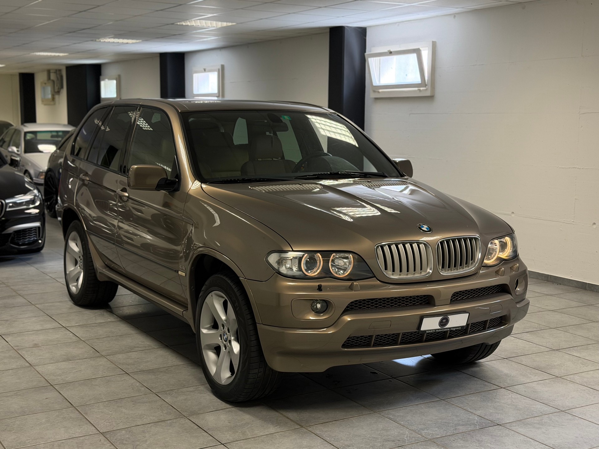 BMW X5 4.4i-image-6