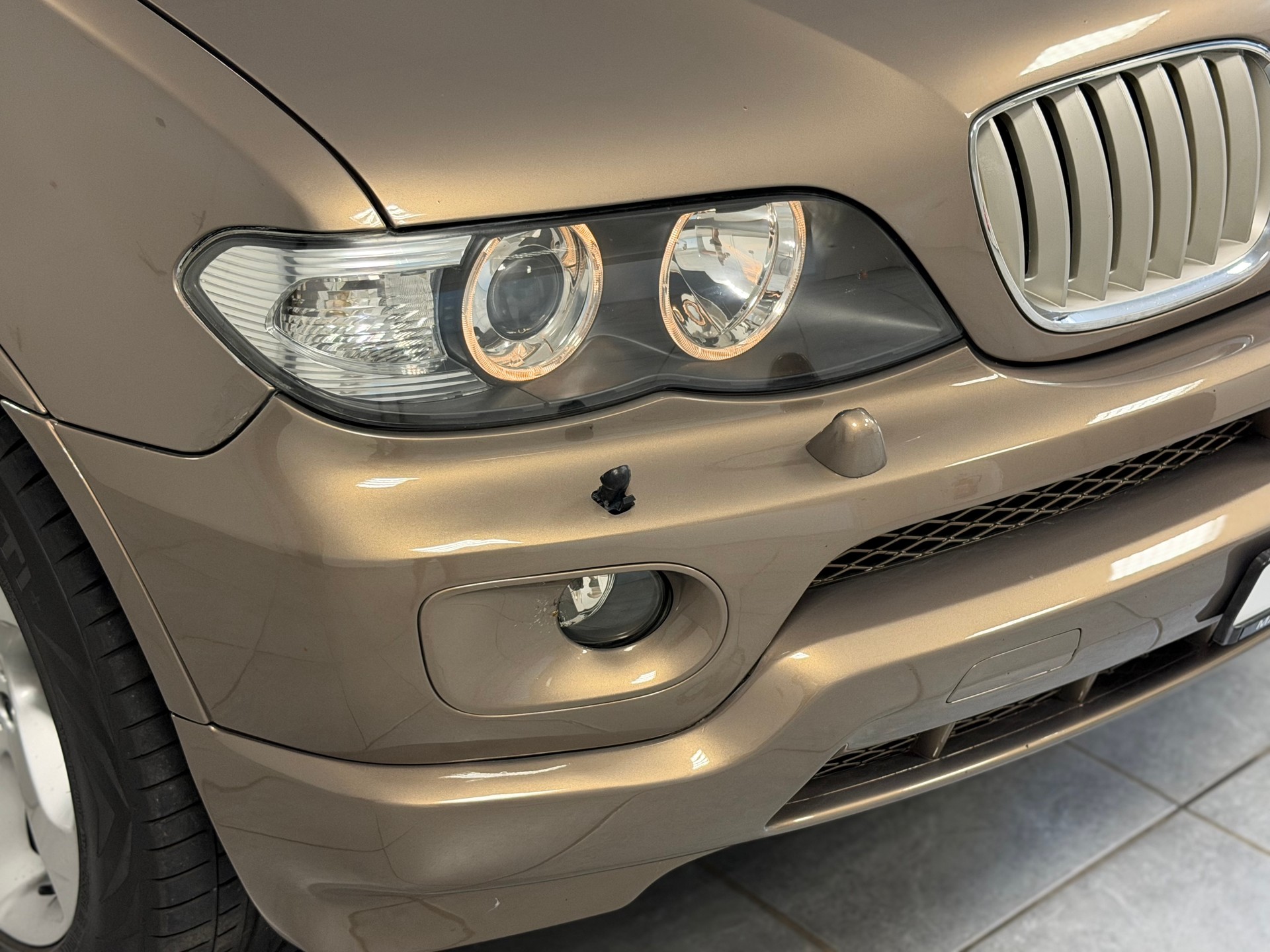BMW X5 4.4i-image-16