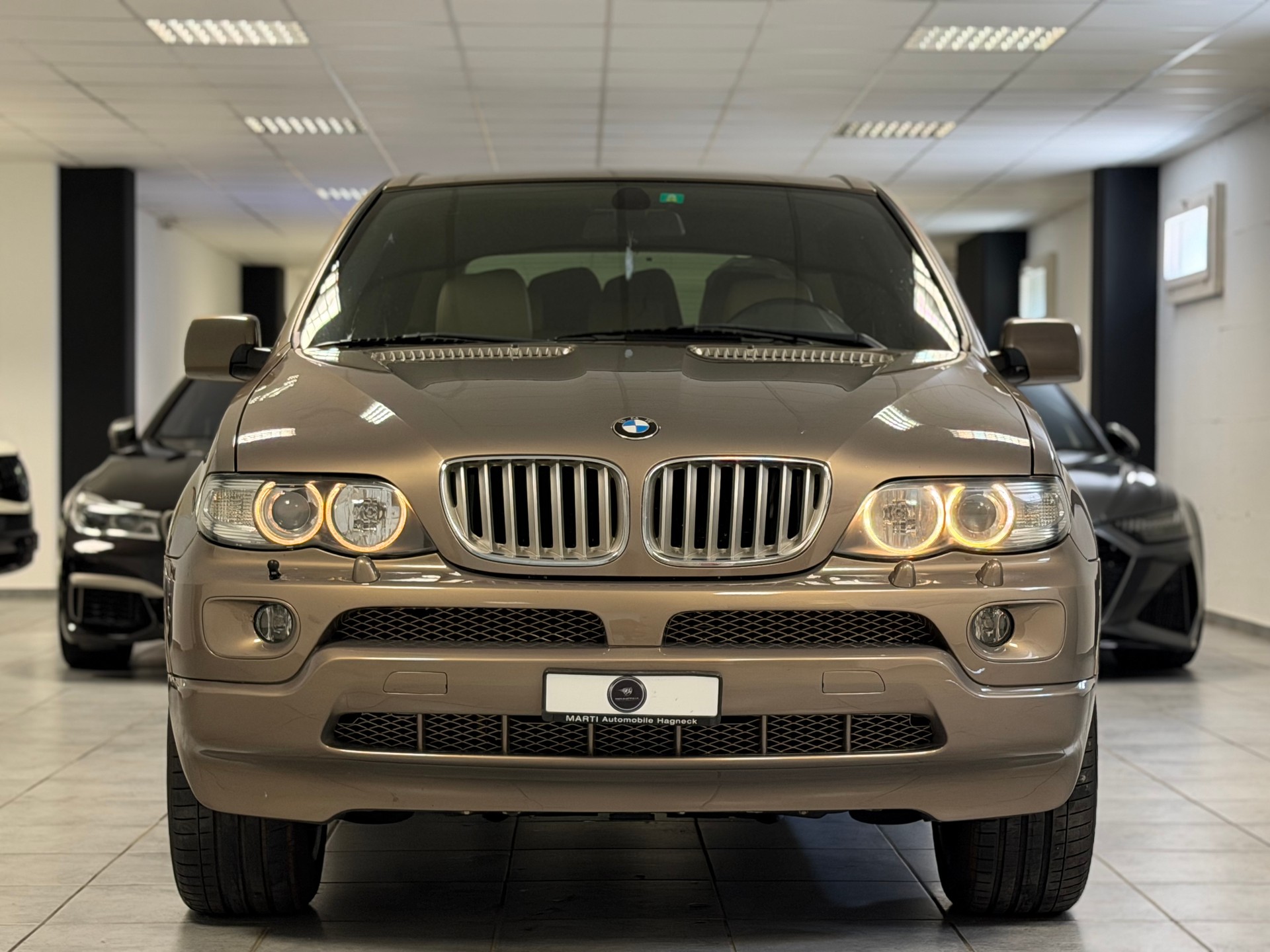 BMW X5 4.4i-image-3