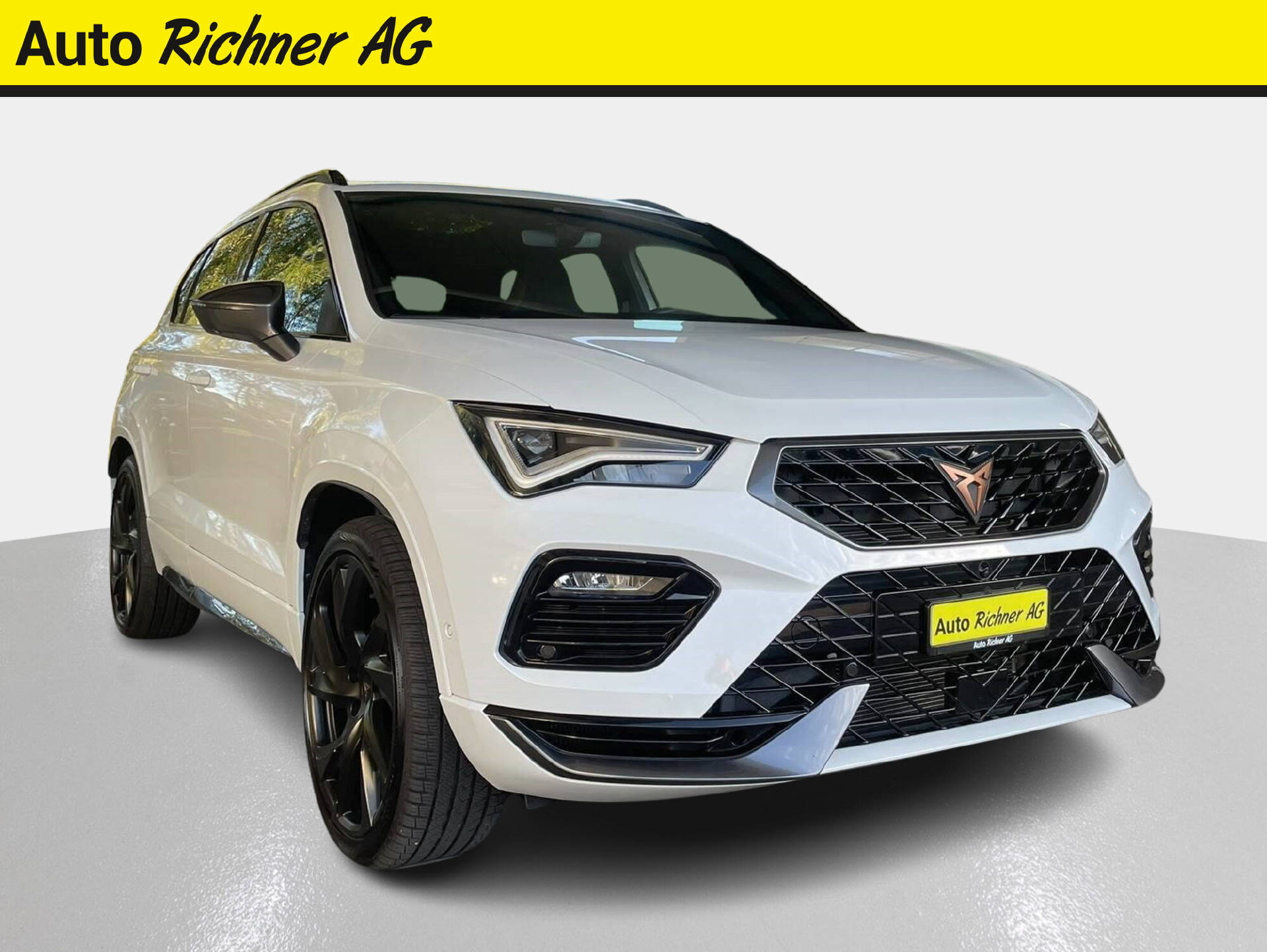 CUPRA Ateca 2.0 TSI VZ 4Drive DSG-image-0