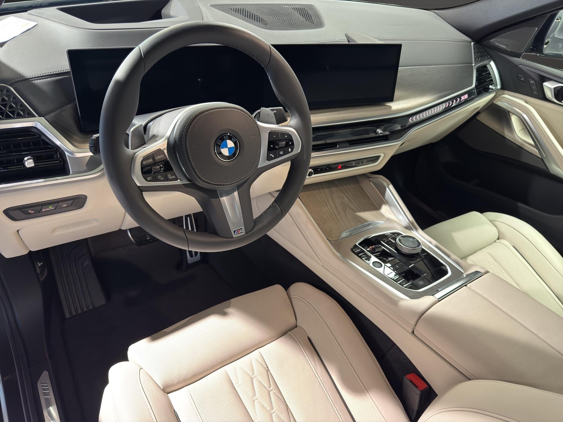 BMW X6 xDrive40d M Sport-image-14