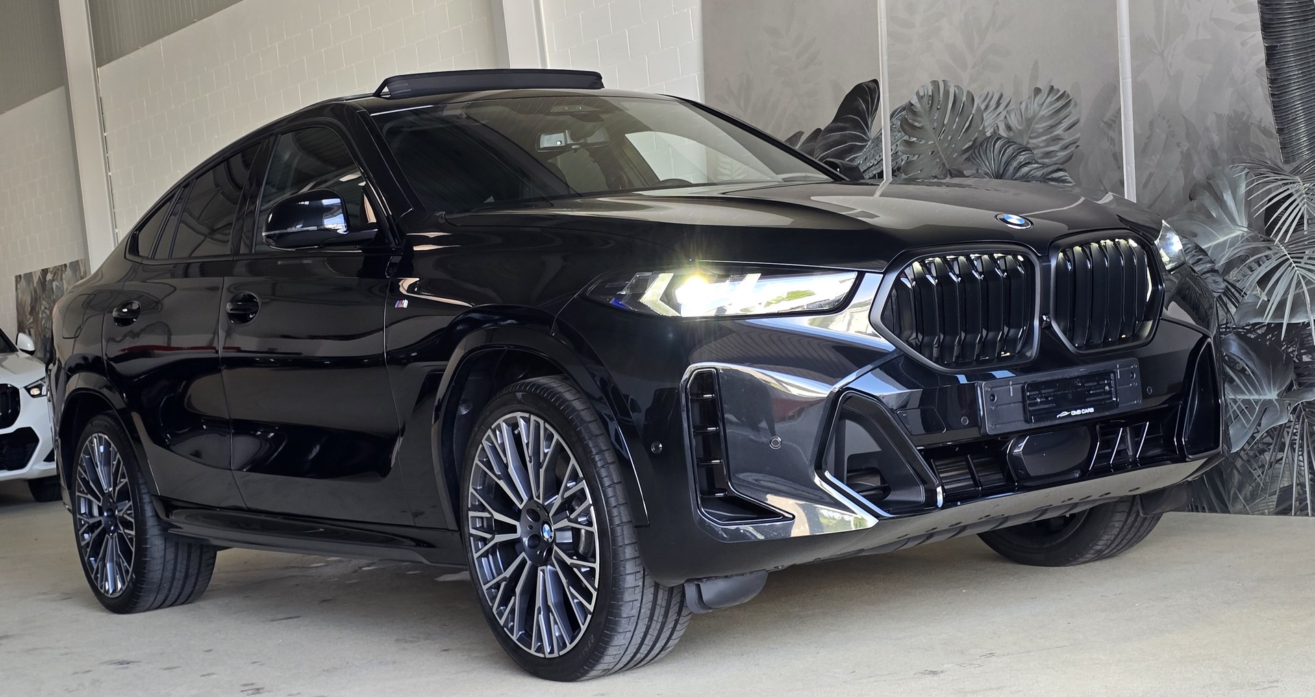 BMW X6 xDrive 48V 30d M Sport Pro Steptronic