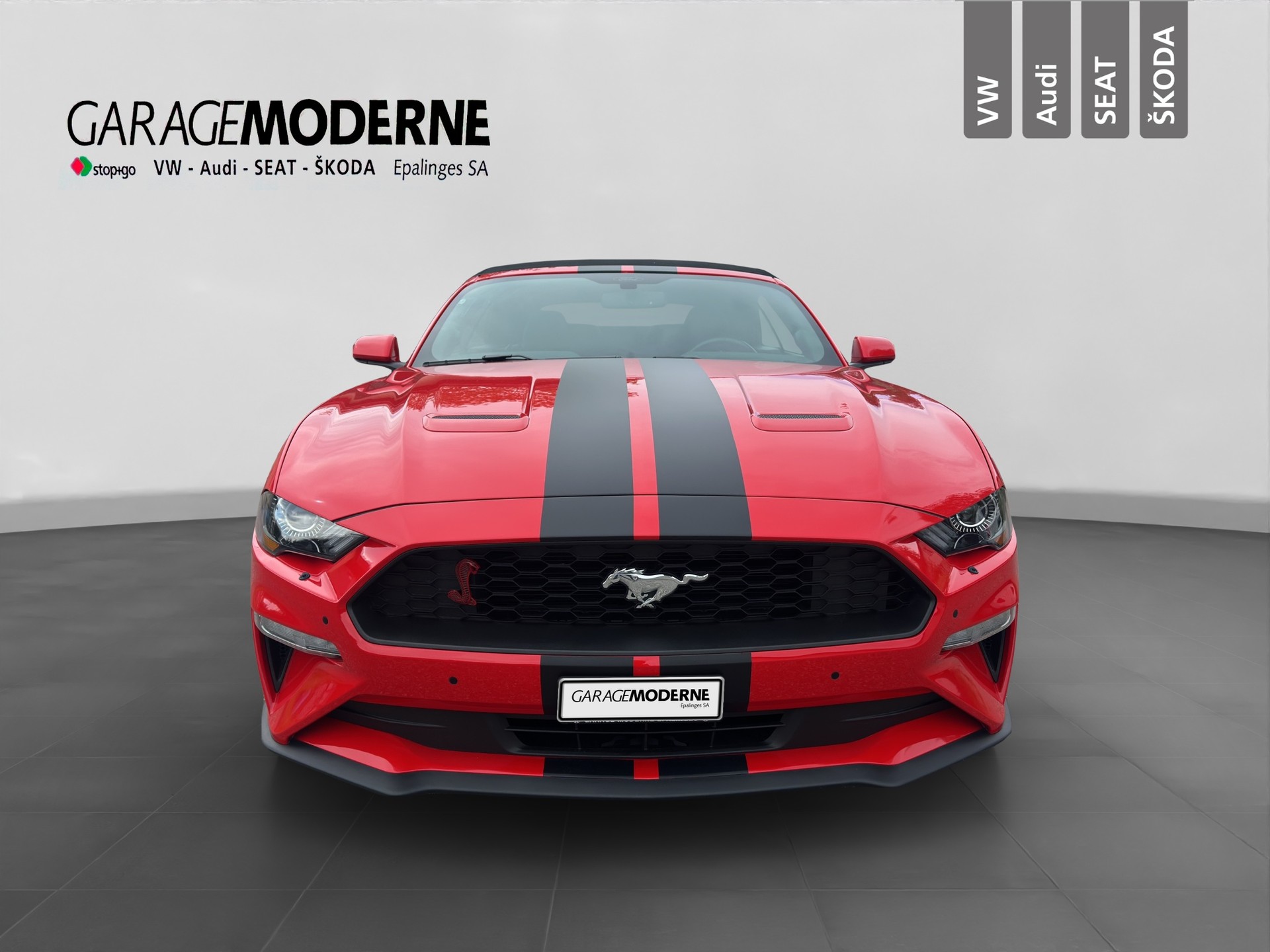 FORD MUSTANG-image-1