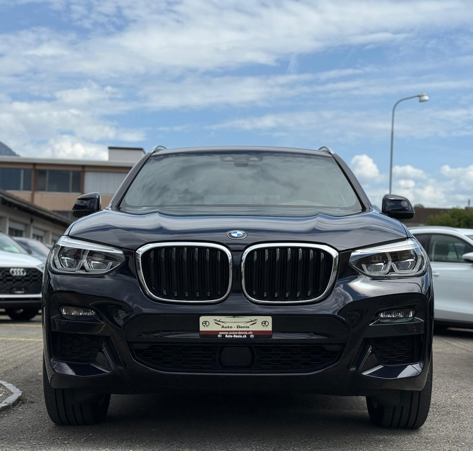BMW X3 30d xDrive SAG-image-2
