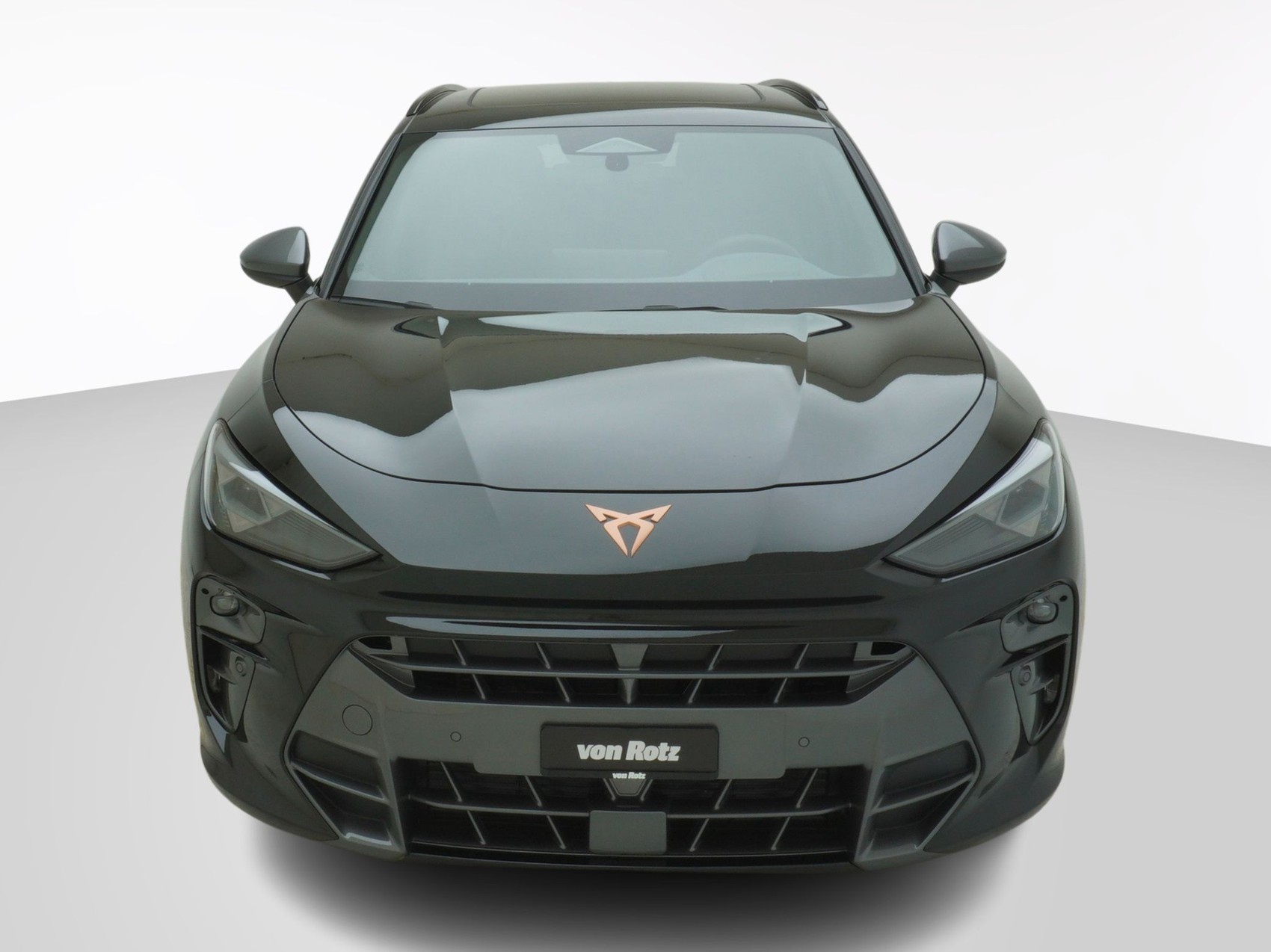 CUPRA Terramar 2.0 TSI 4Drive DSG-image-0