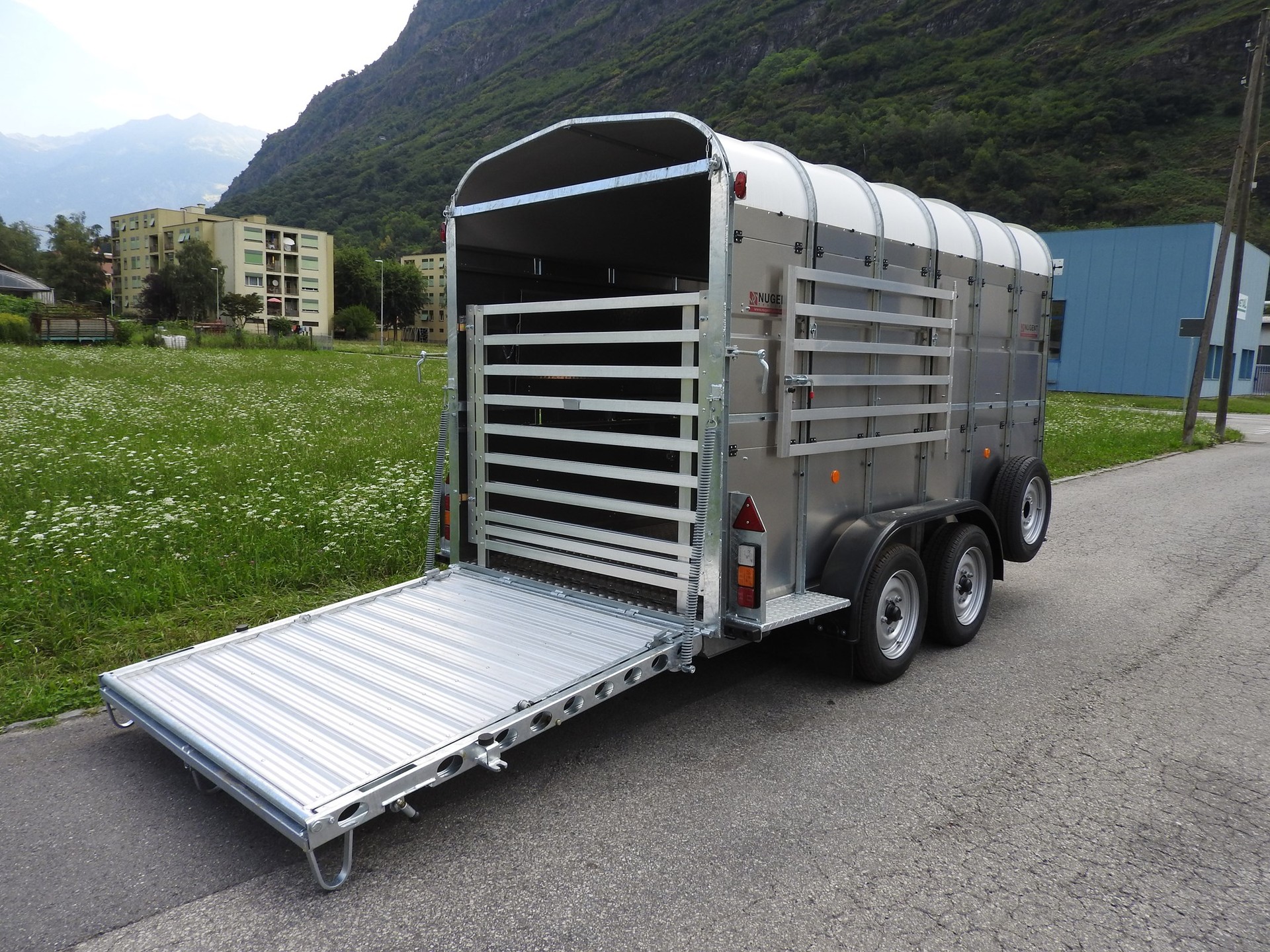 NUGENT LS 126 doppel stock-image-5