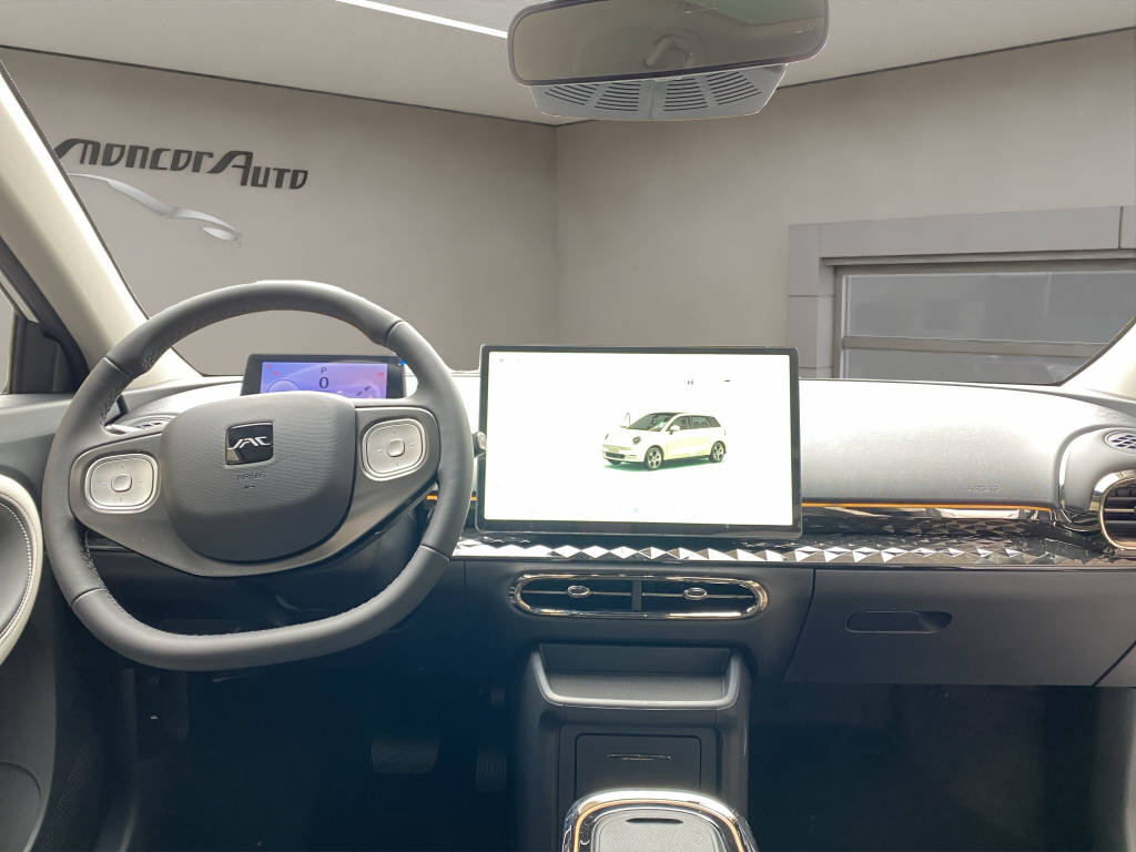 JAC E30X Electric-image-7