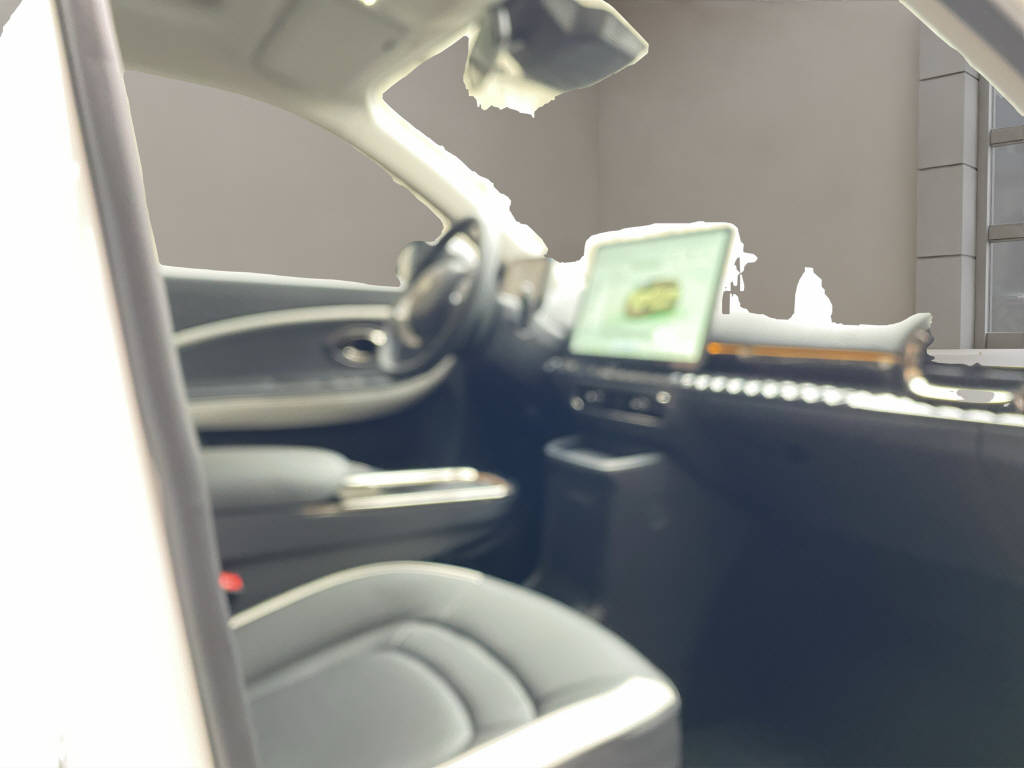 JAC E30X Electric-image-5