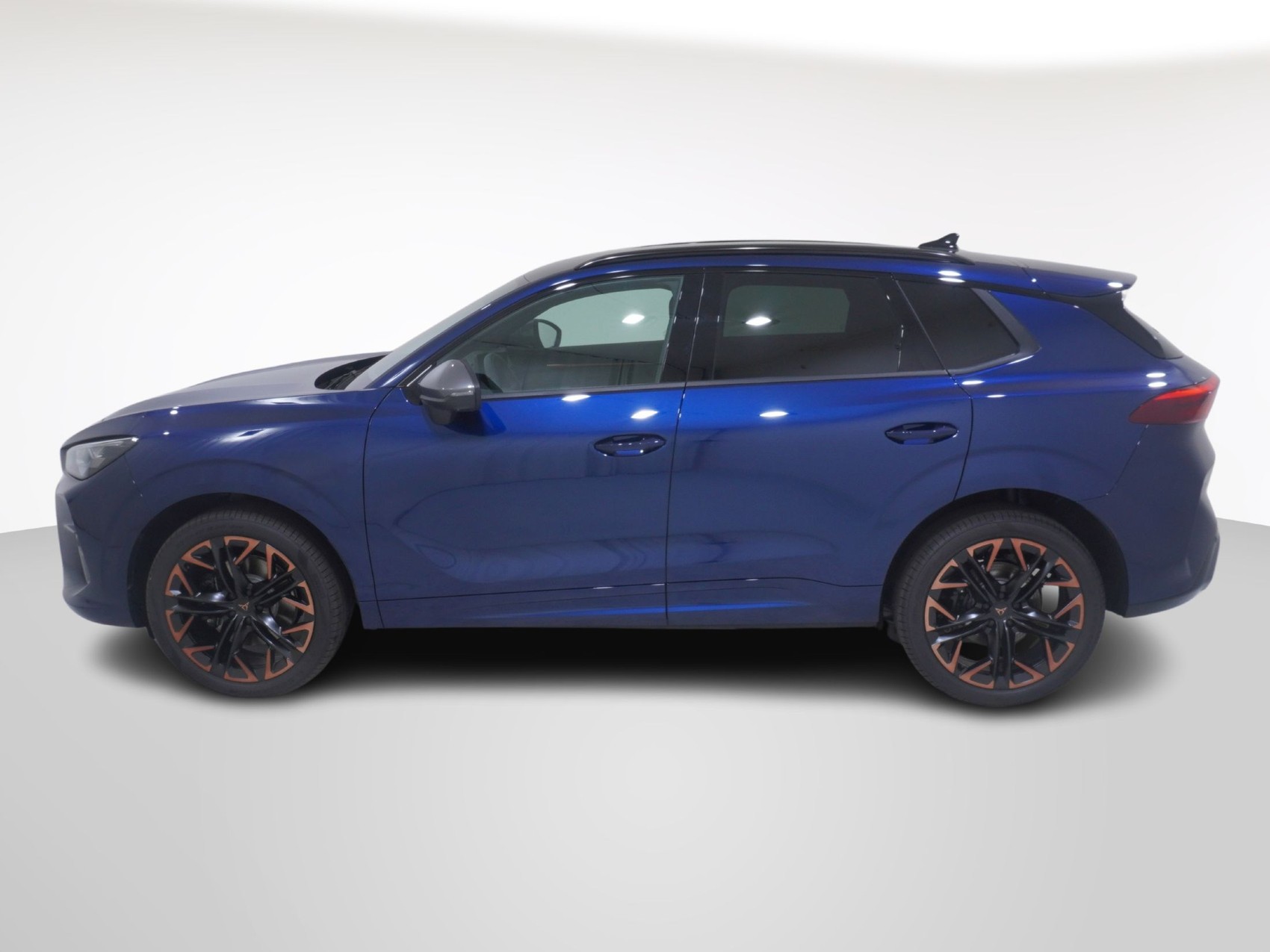 CUPRA Terramar 2.0 TSI 4Drive DSG-image-2