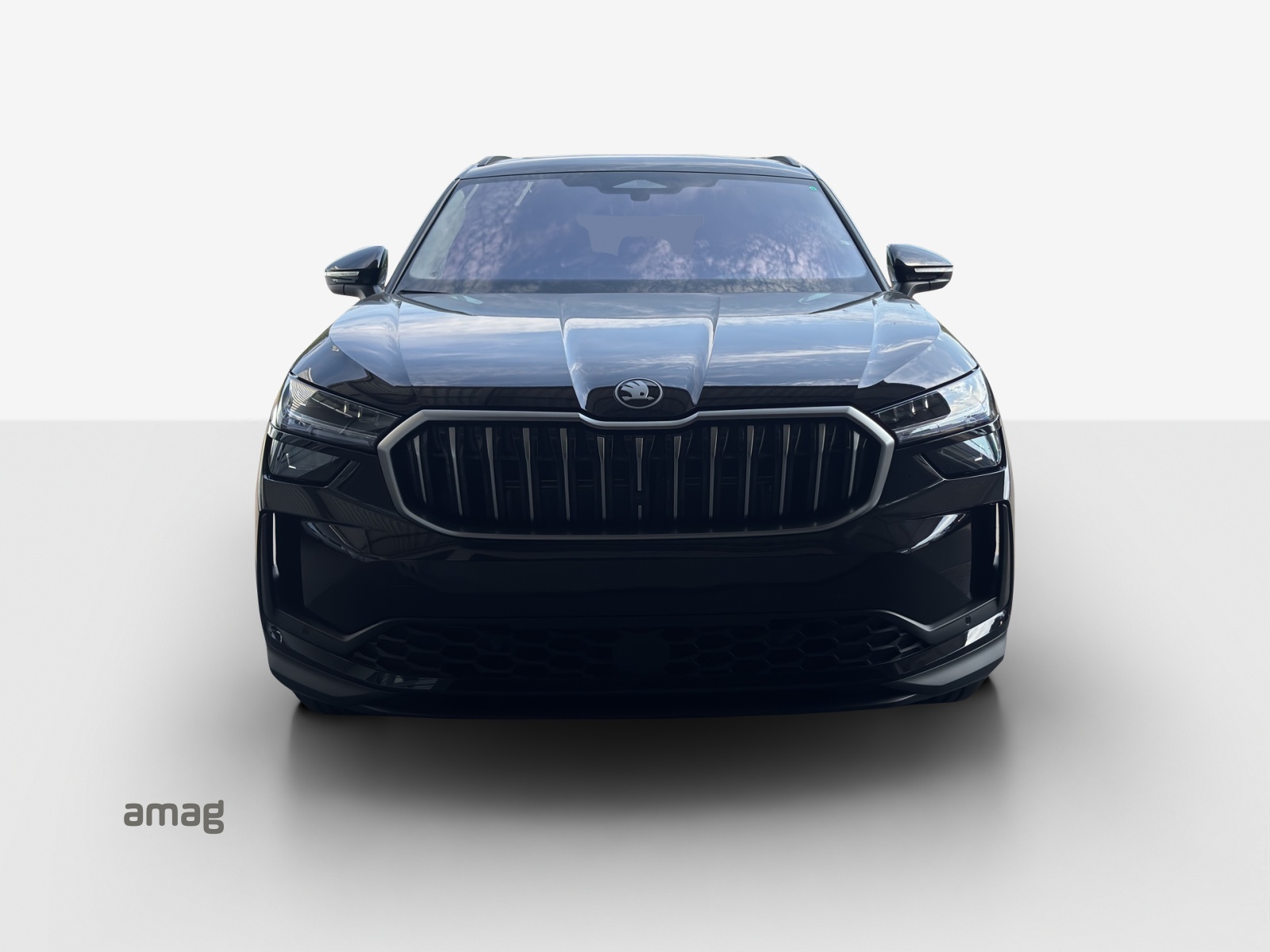 SKODA Kodiaq 2.0 TSI Selection 4x4-image-6