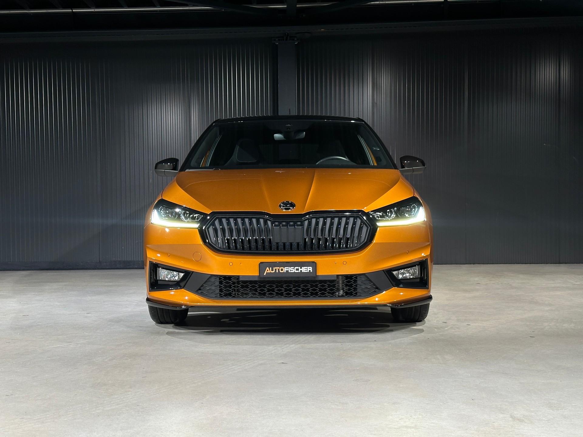 SKODA Fabia 1.0 TSI Monte Carlo DSG-image-2