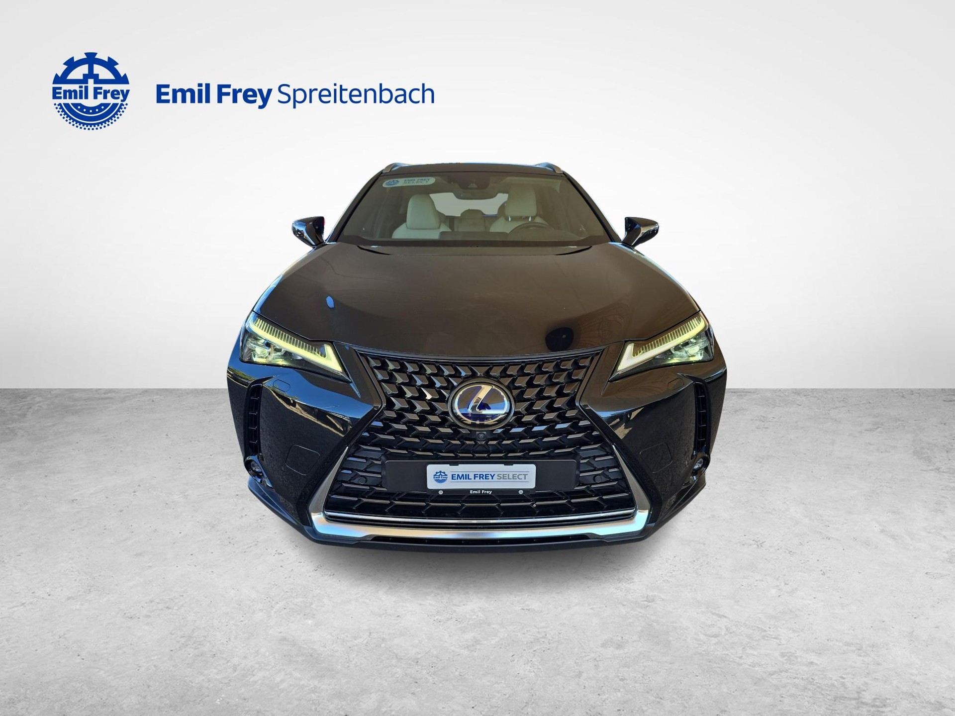 LEXUS UX 250h Excellence-image-7