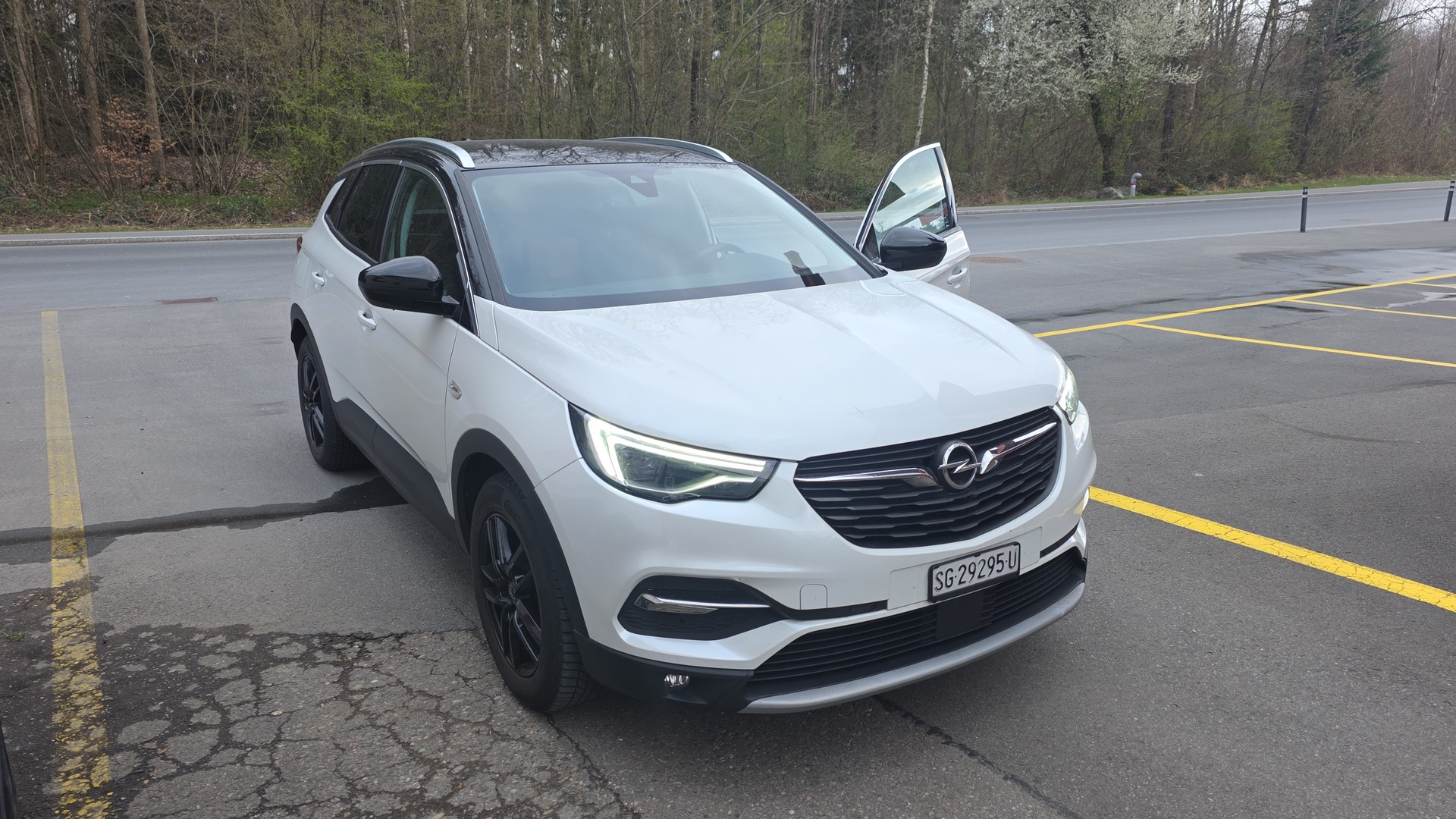 OPEL Grandland X 1.6CDTi Excellence Automatik-image-3
