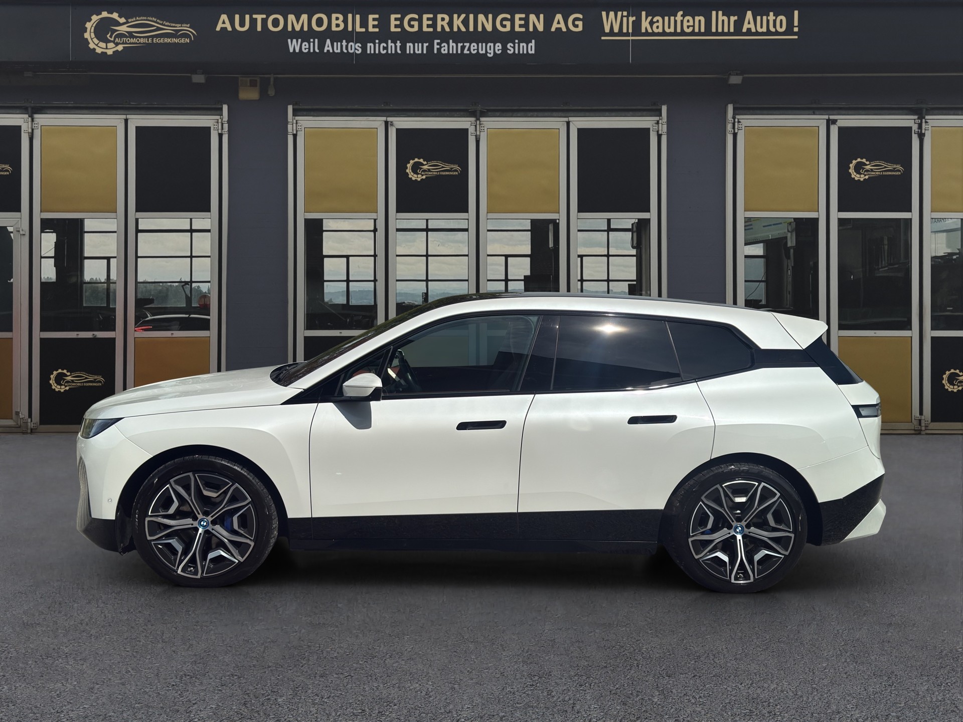 BMW iX xDrive40-image-7