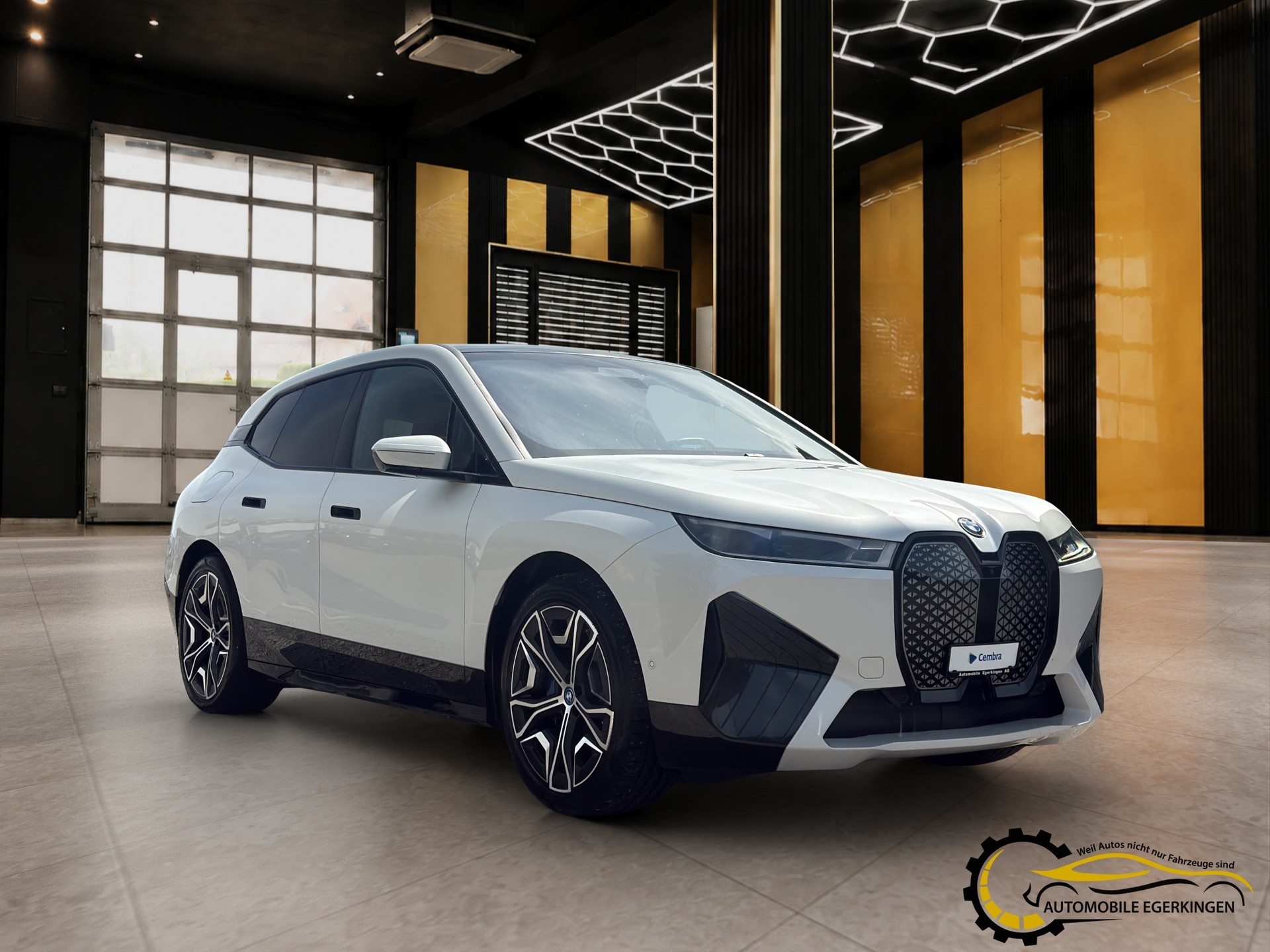 BMW iX xDrive40-image-2