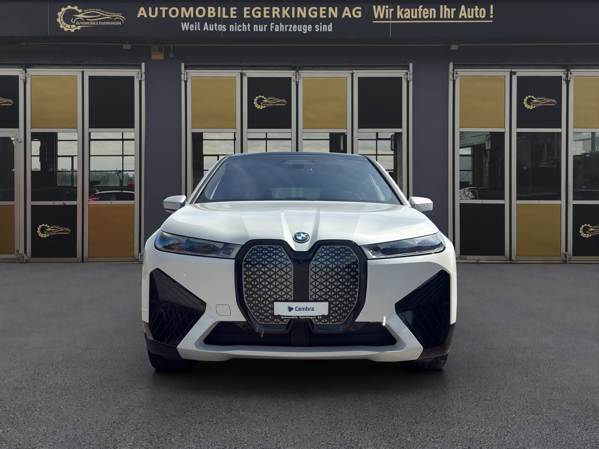 BMW iX xDrive40-image-1