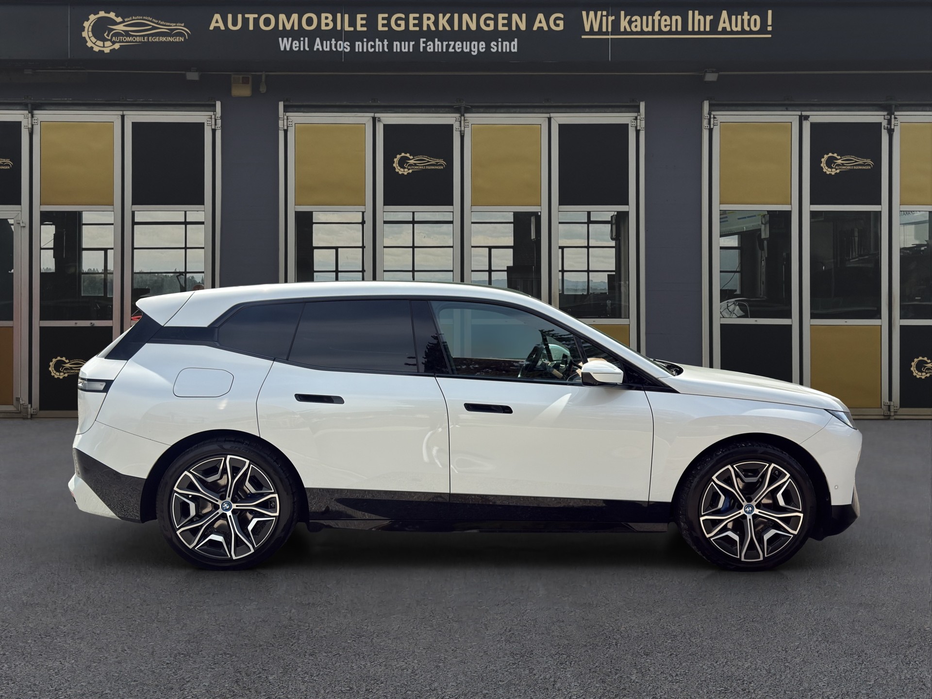 BMW iX xDrive40-image-3