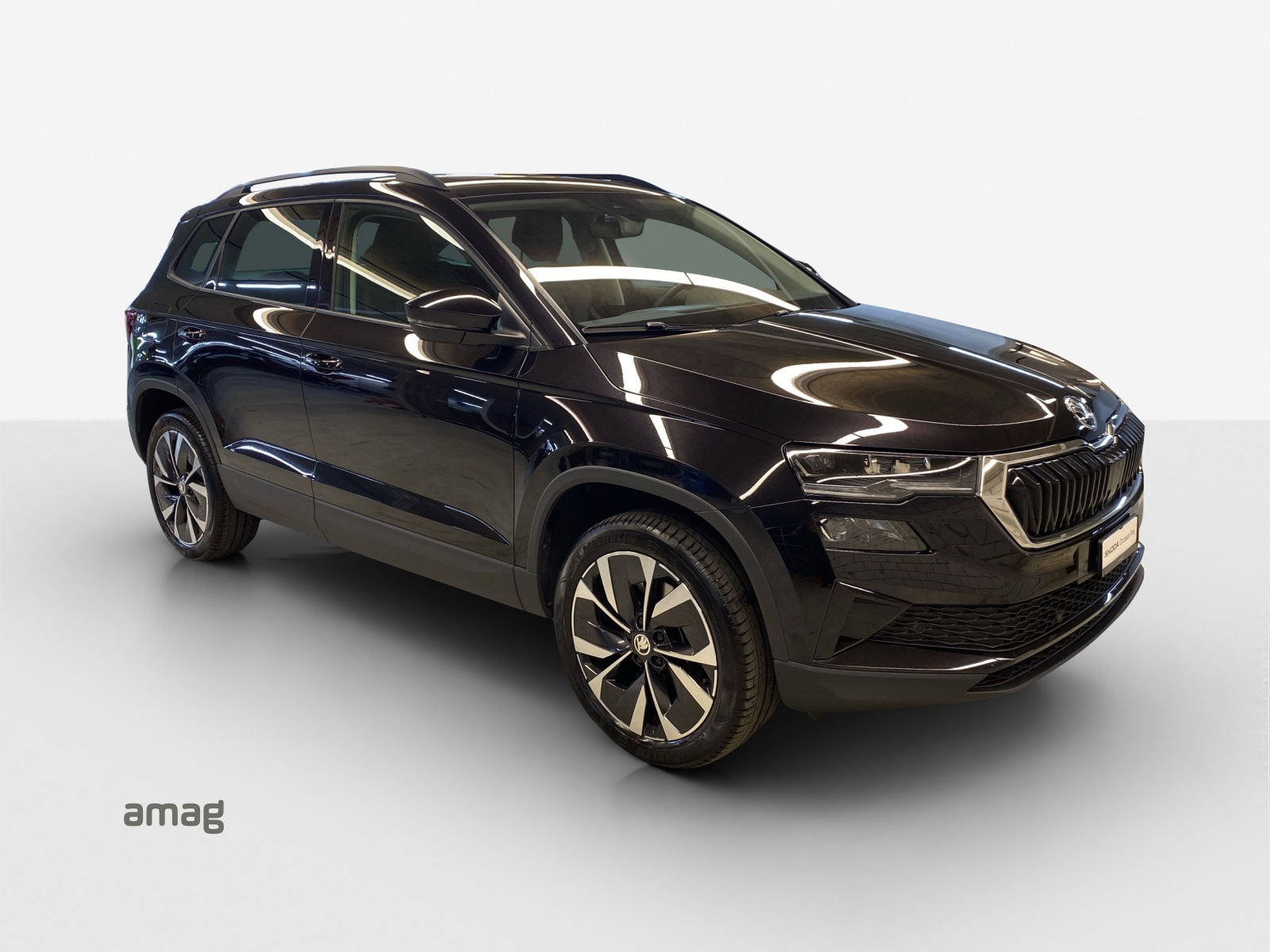 SKODA Karoq 1.5 TSI Style DSG-image-5
