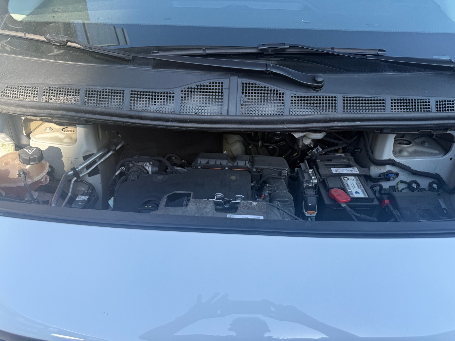 PEUGEOT Expert 1.5 BlueHDi 120 S&S Standard-image-8