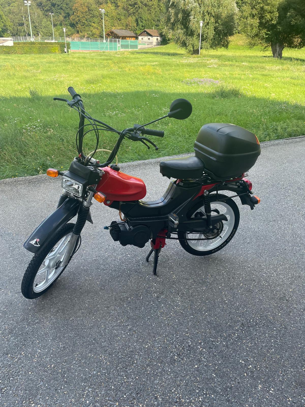 PONY Pony Cross 521