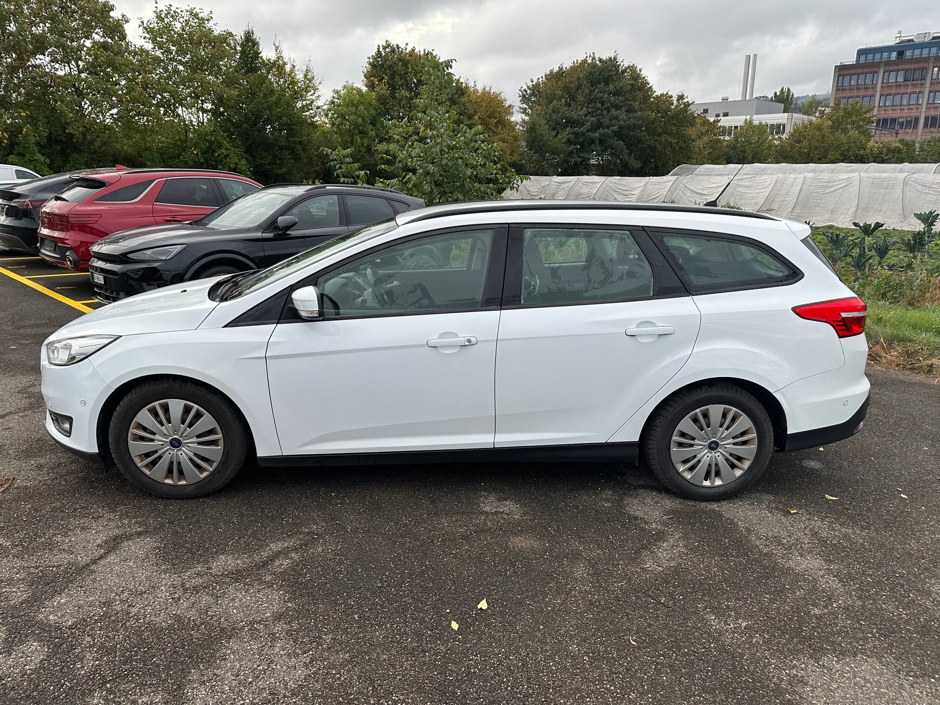 FORD Focus 1.5 TDCi Business PowerShift-image-7