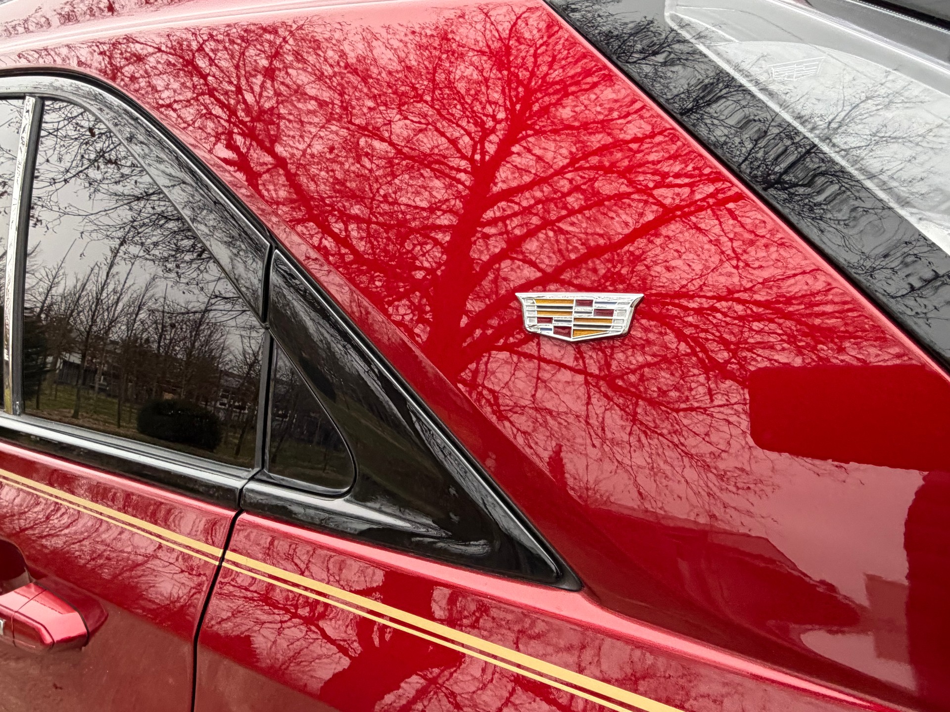 CADILLAC XT4 350T 2.0 Sport AWD-image-12