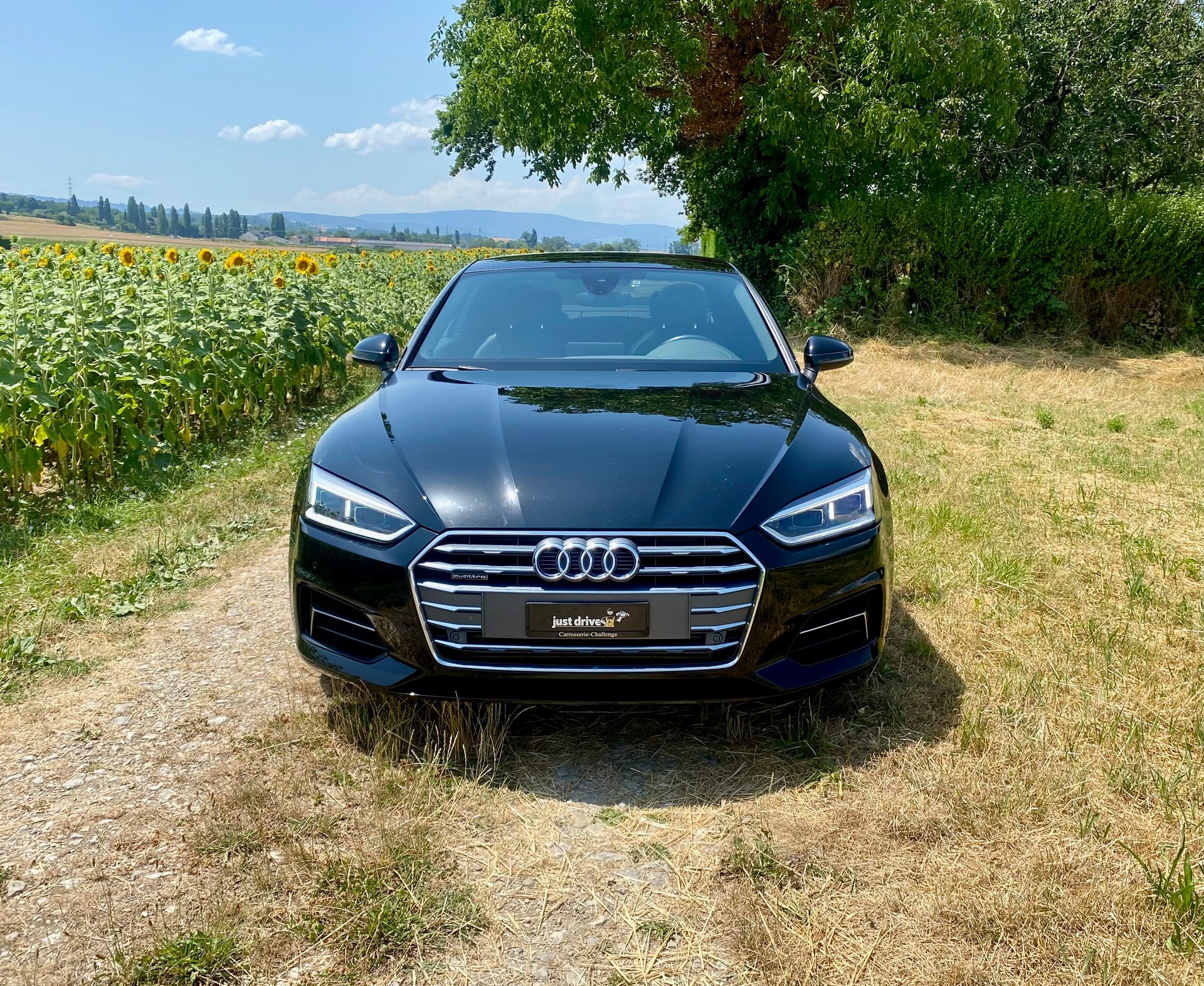 AUDI A5 Coupé 45 TFSI S-tronic Sport quattro-image-1
