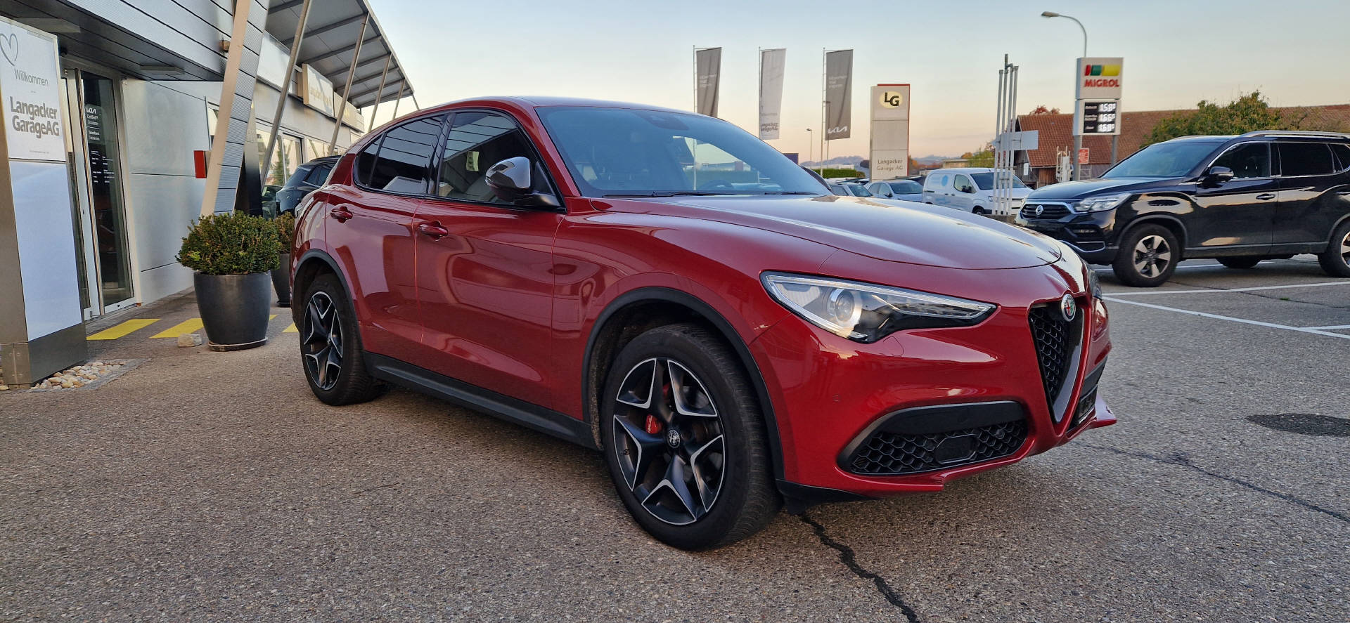 ALFA ROMEO Stelvio 2.0 Q4 280 Ti-image-14