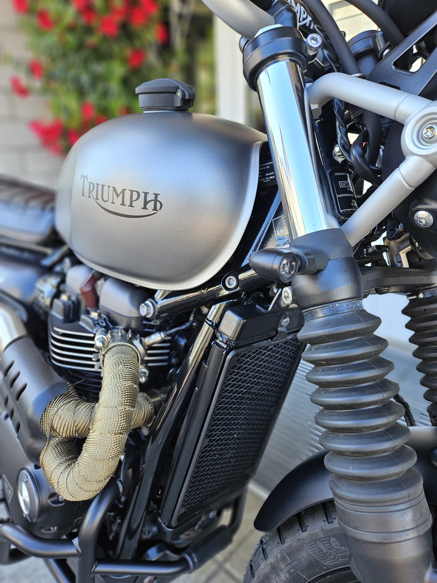 TRIUMPH Street Scrambler 900 (35kW)-image-8