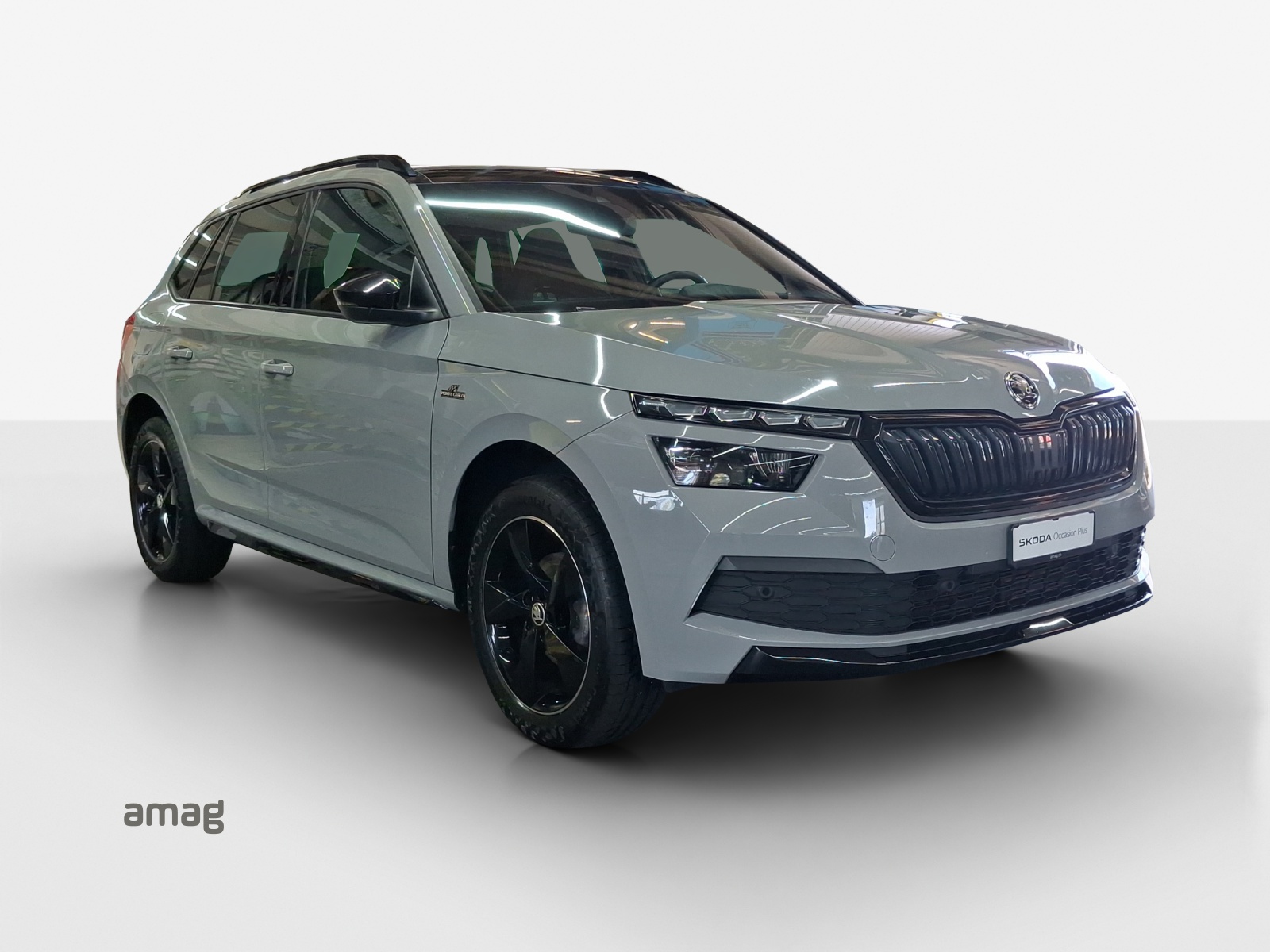 SKODA Kamiq 1.0 TSI Monte Carlo DSG-image-5