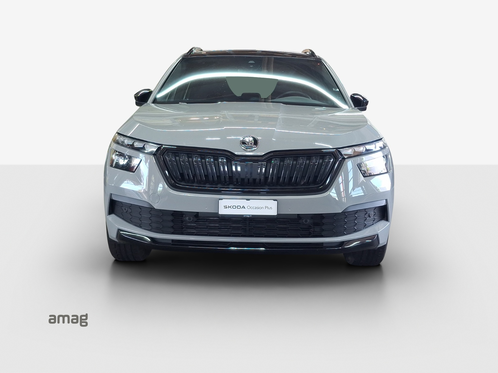 SKODA Kamiq 1.0 TSI Monte Carlo DSG-image-6