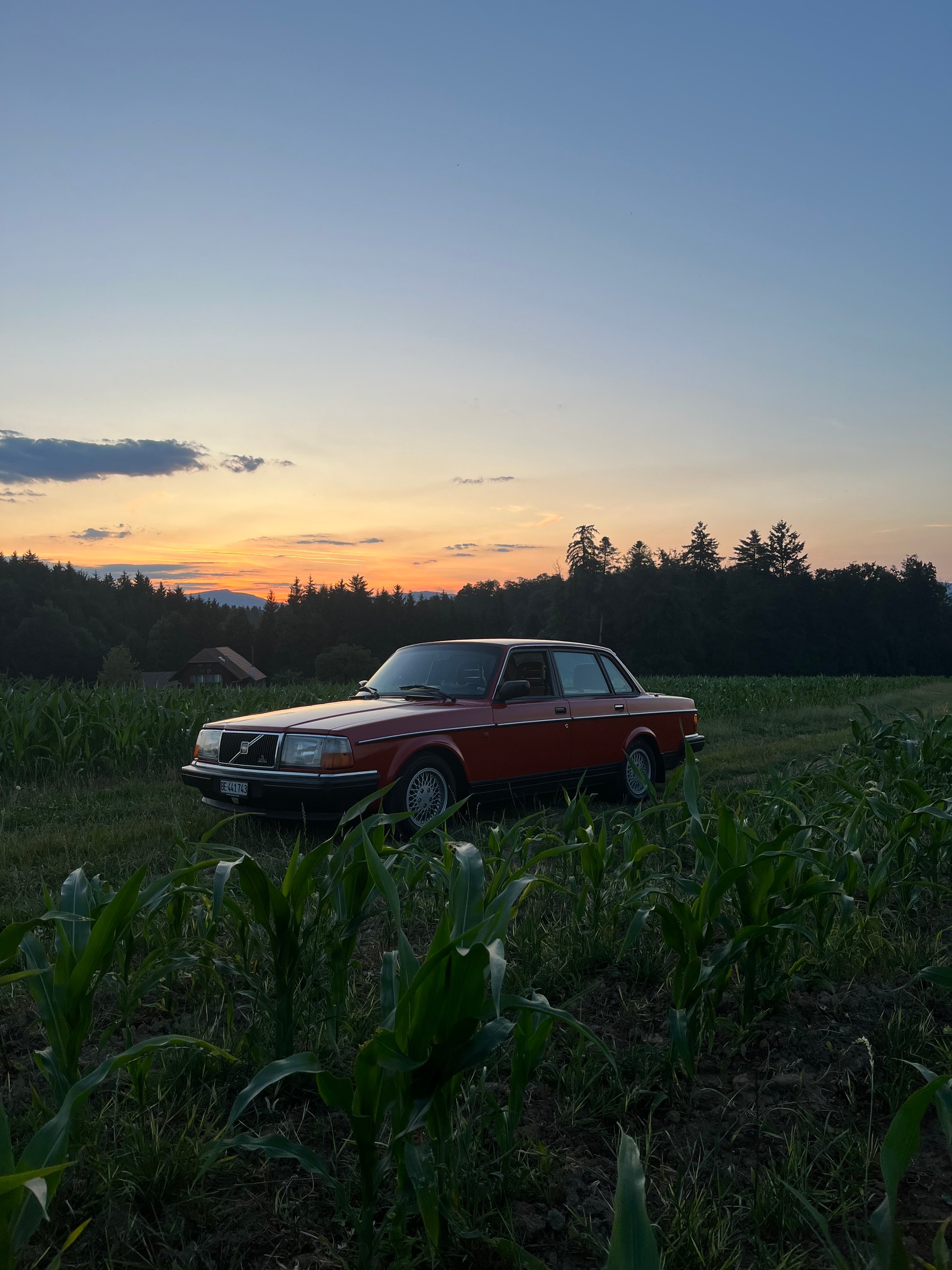 VOLVO Classic-image-2