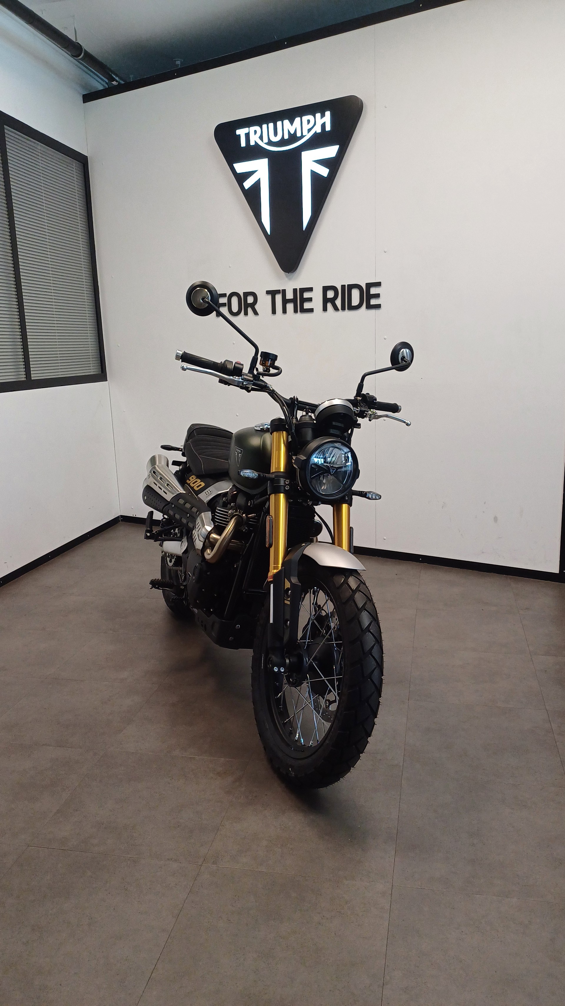 TRIUMPH Triumph Scrambler 900-image-2