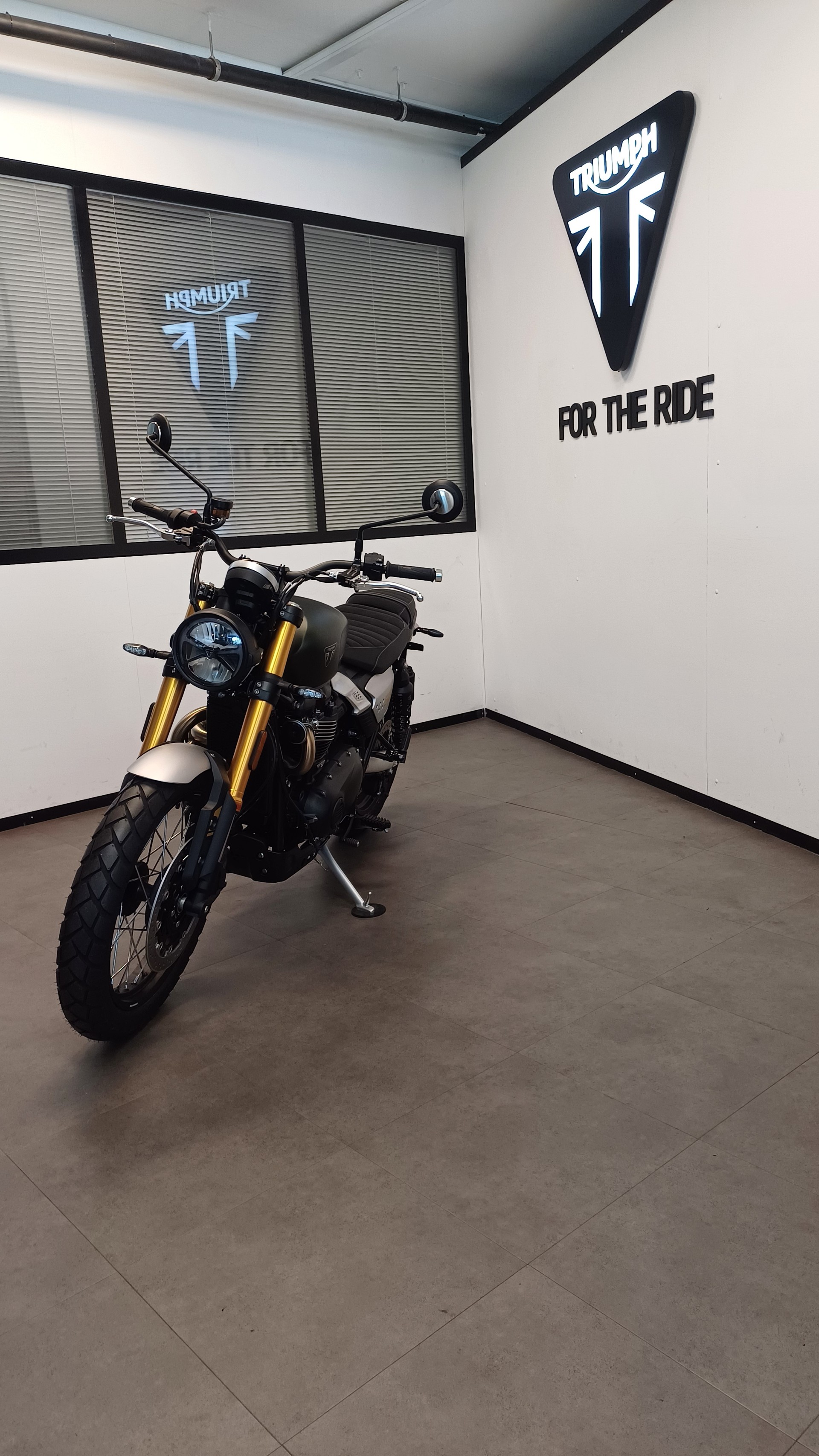 TRIUMPH Triumph Scrambler 900-image-5