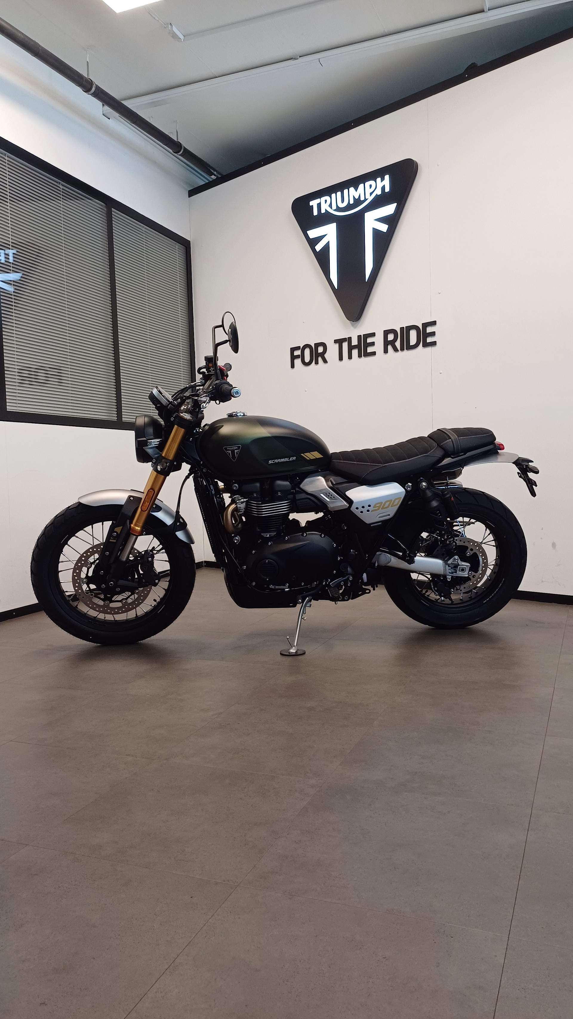 TRIUMPH Triumph Scrambler 900-image-1