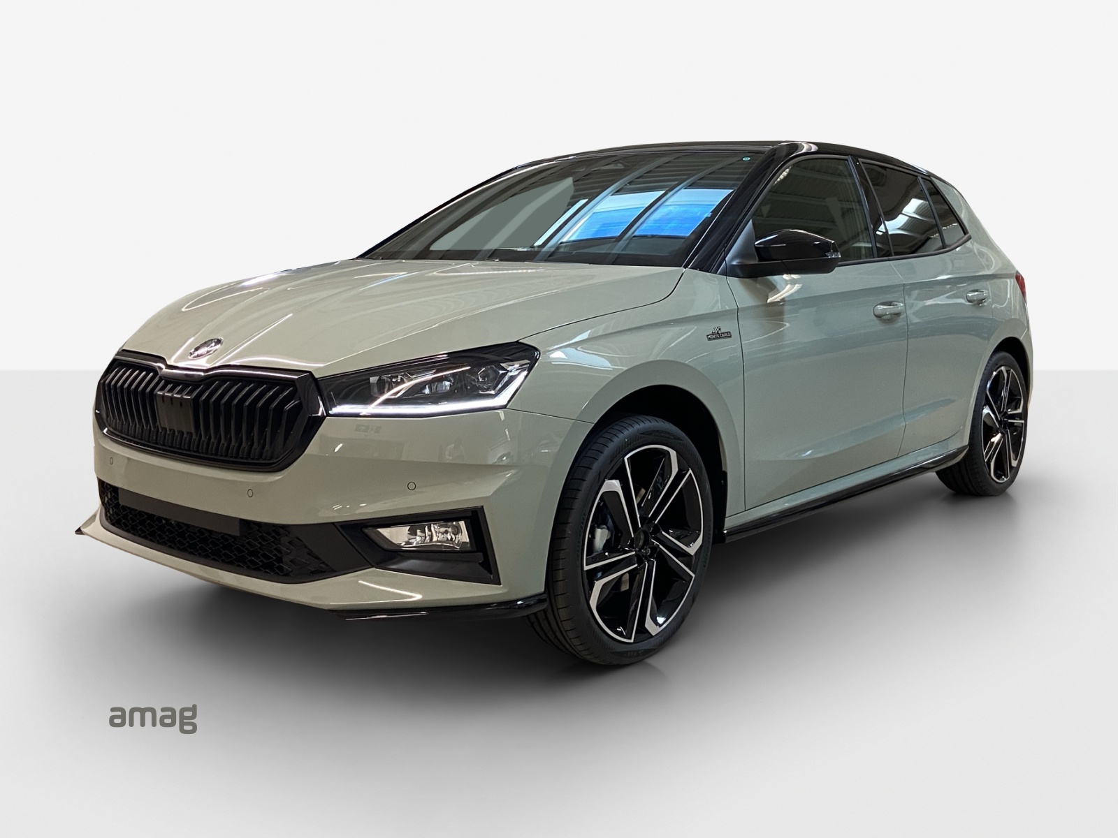 SKODA Fabia 1.0 TSI Monte Carlo DSG-image-0