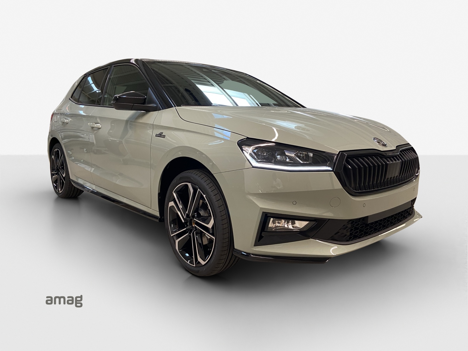 SKODA Fabia 1.0 TSI Monte Carlo DSG-image-5